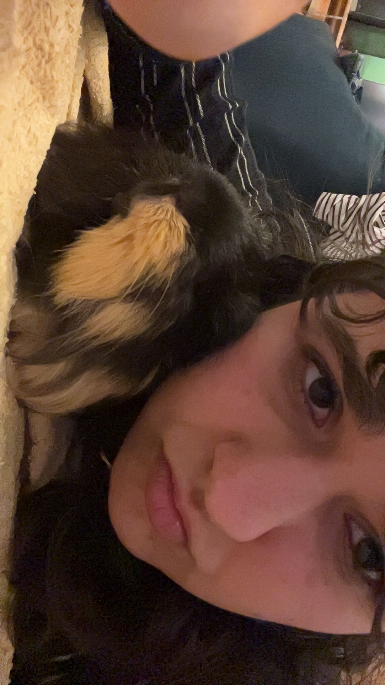 image-2