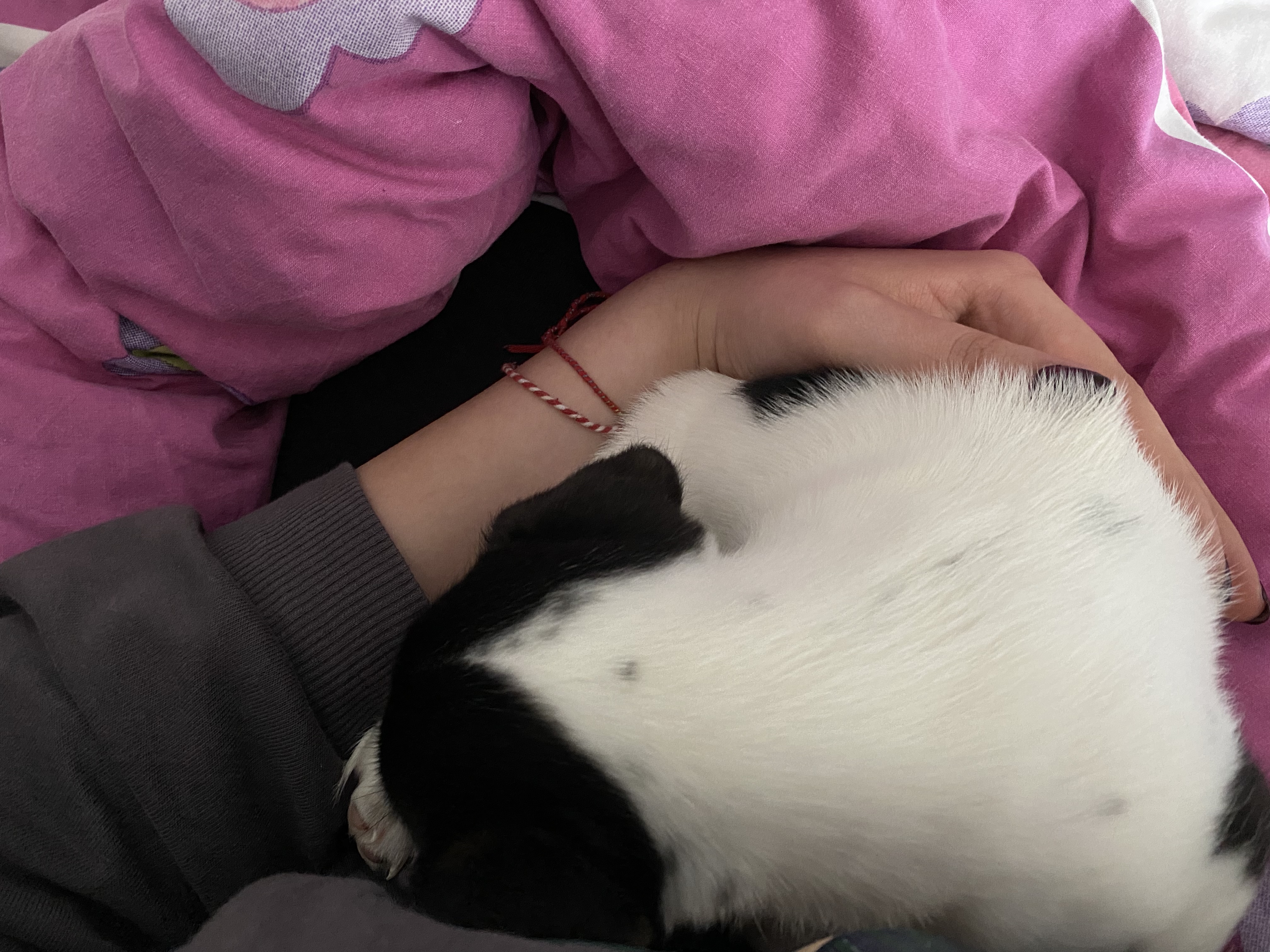 image-7