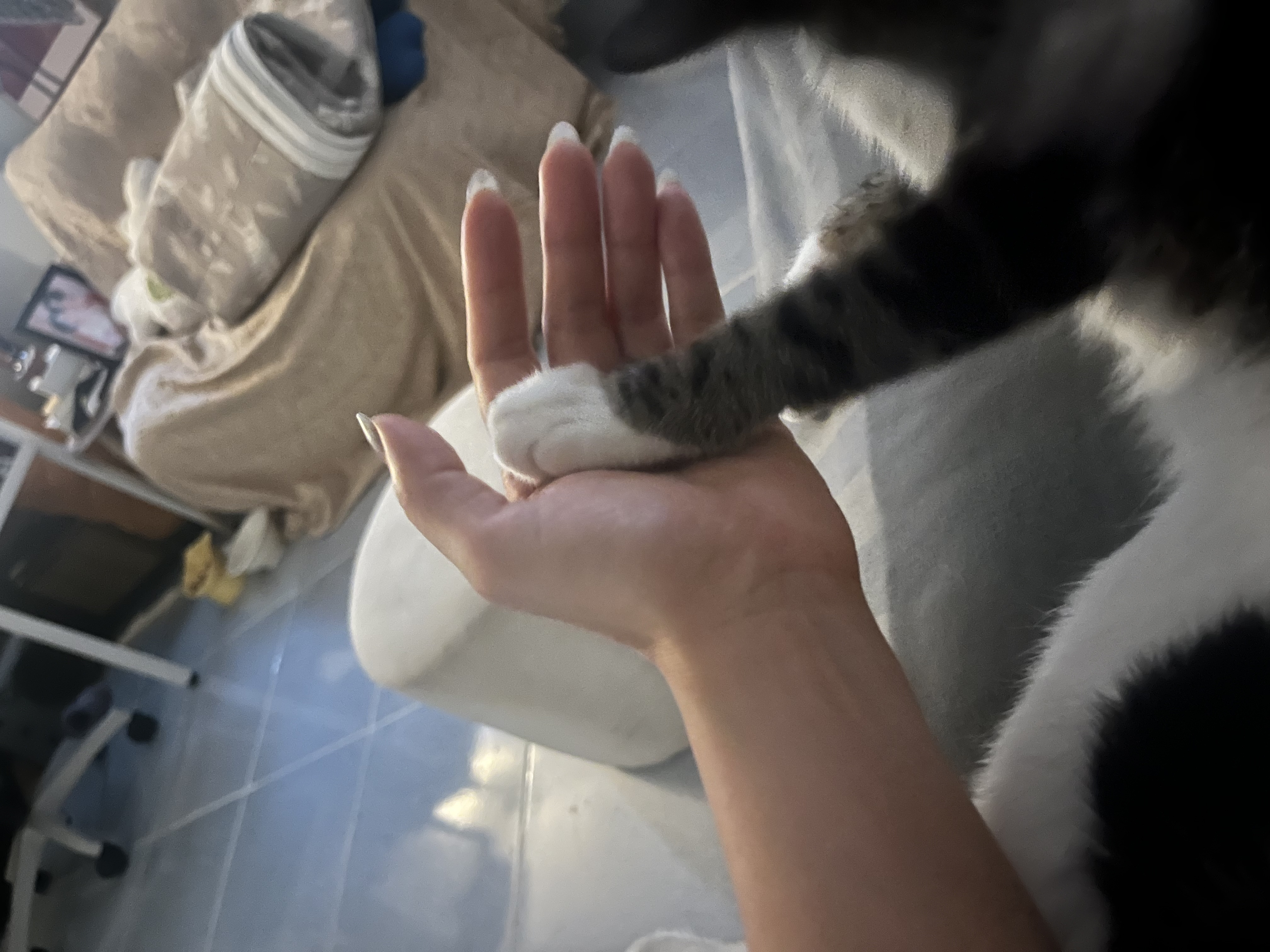 image-18