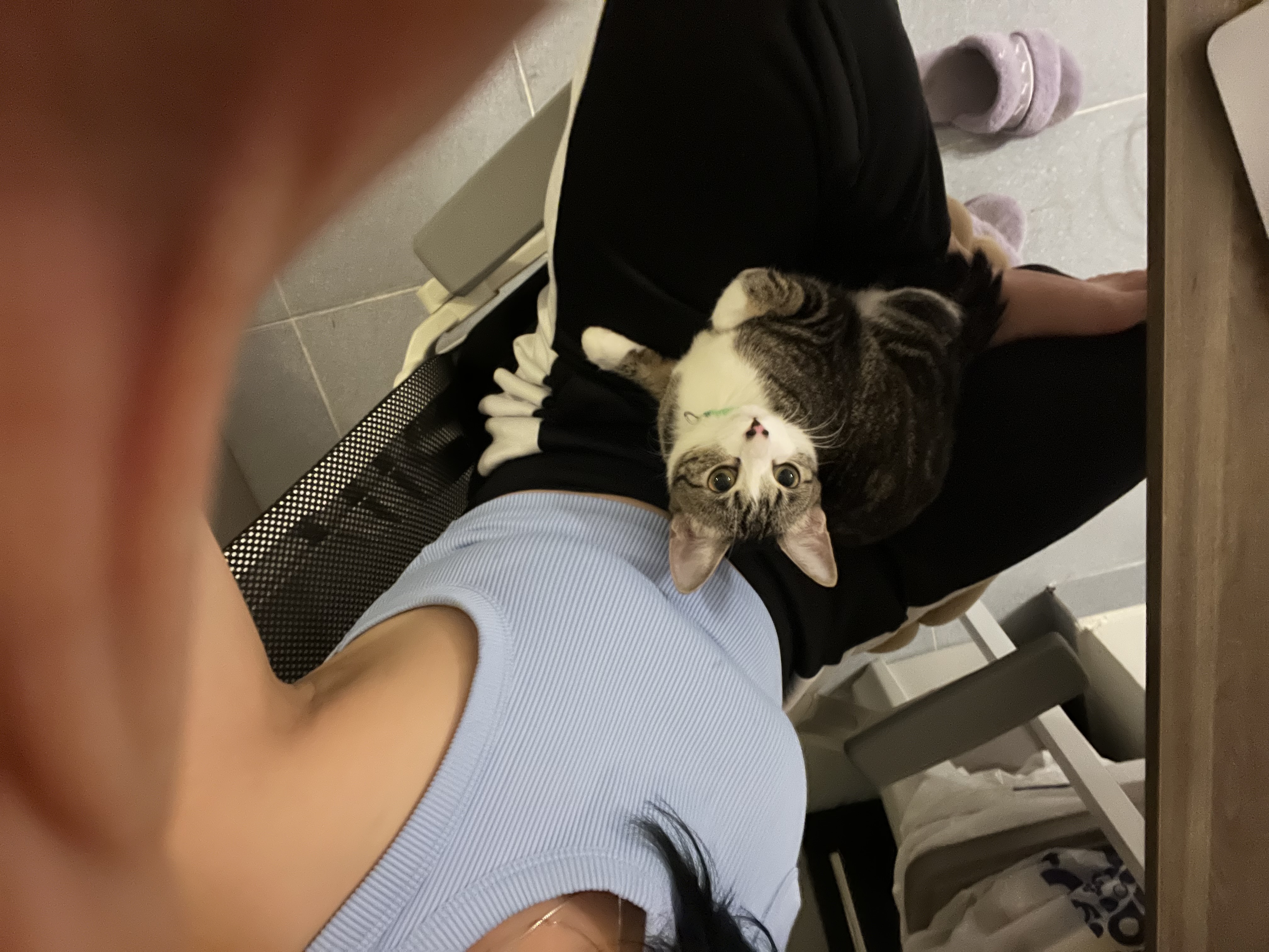 image-7