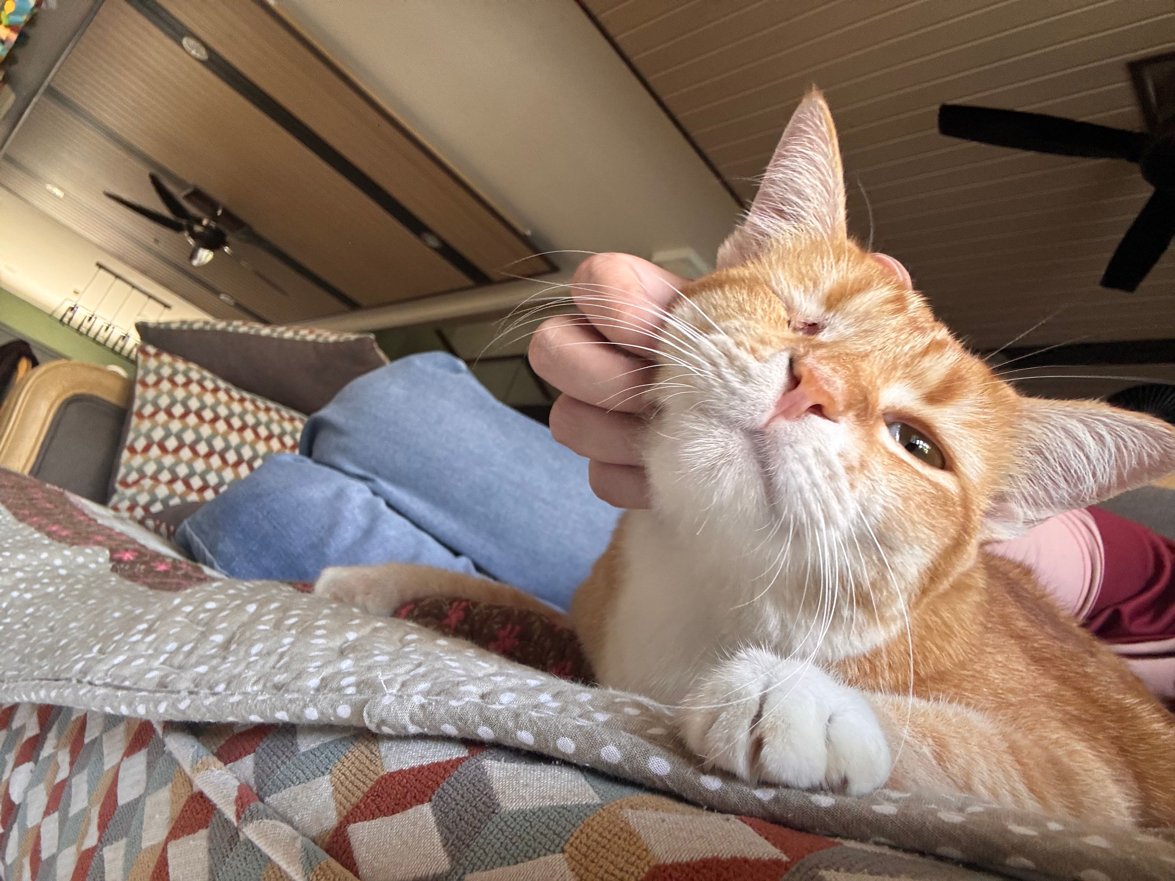 image-7