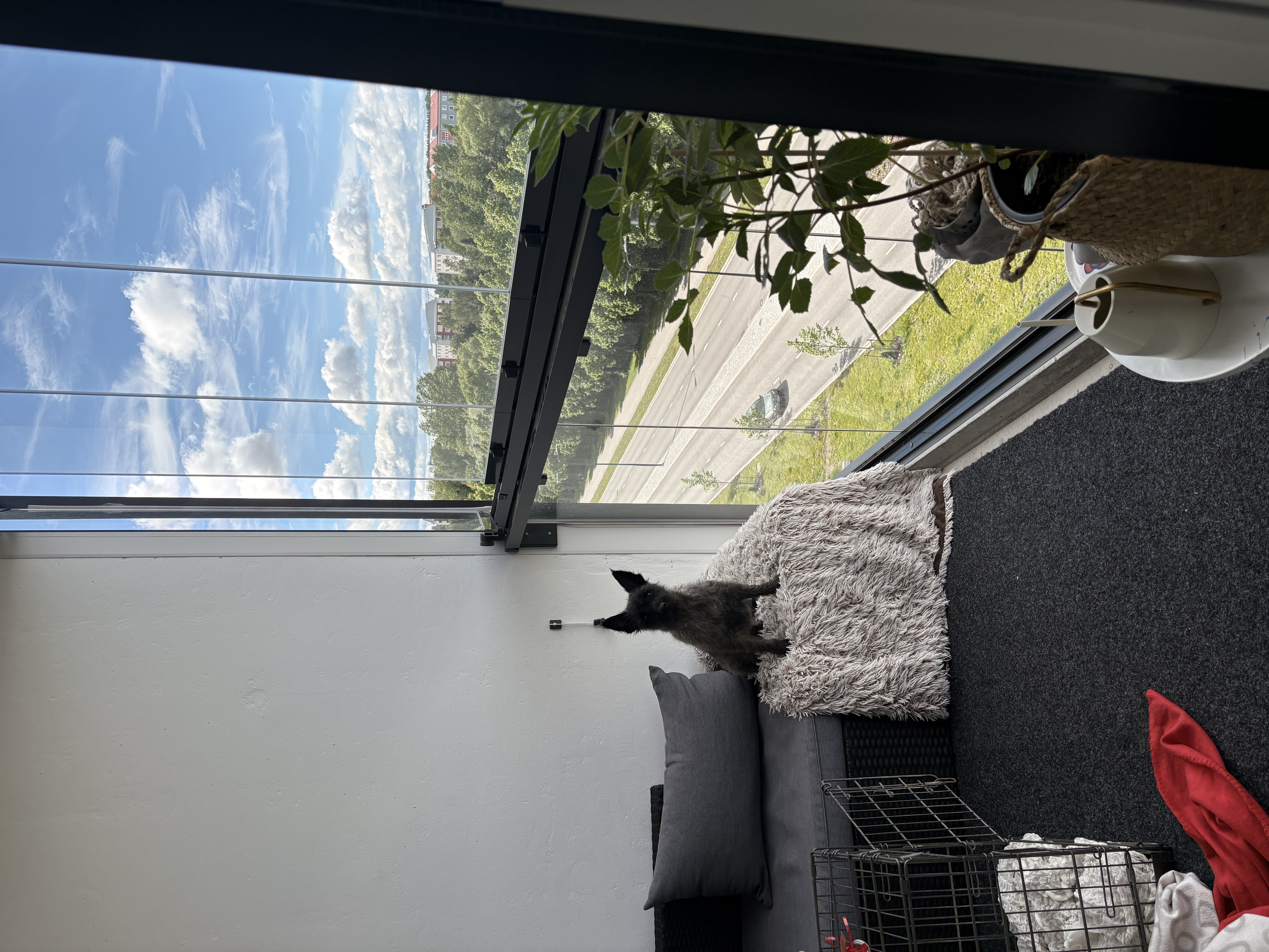 image-9