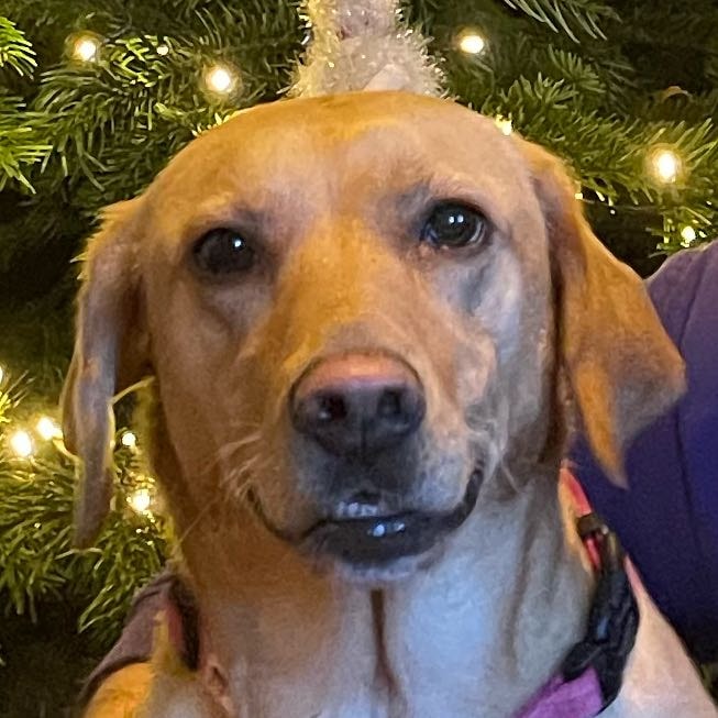 Ellie