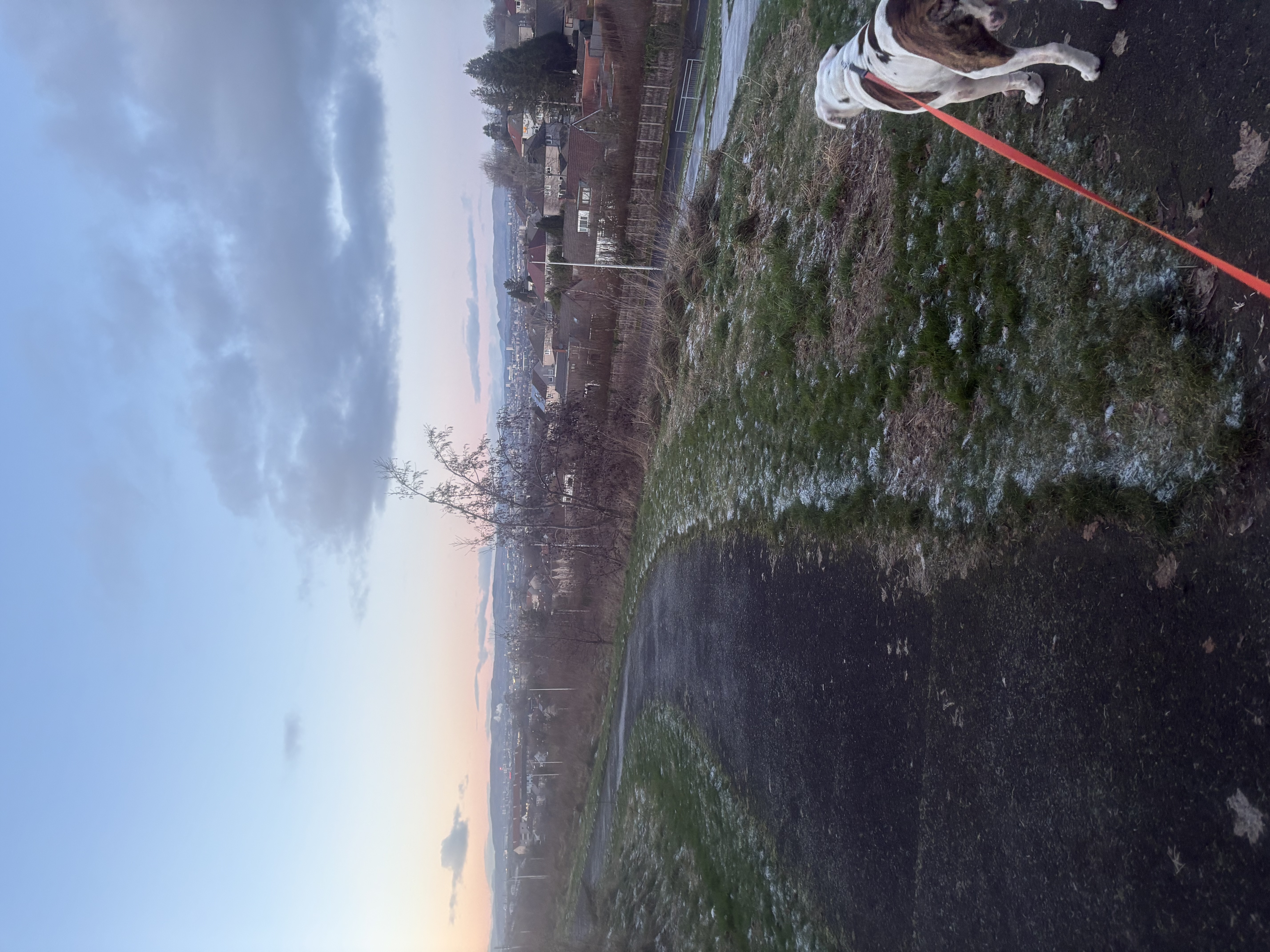 image-4