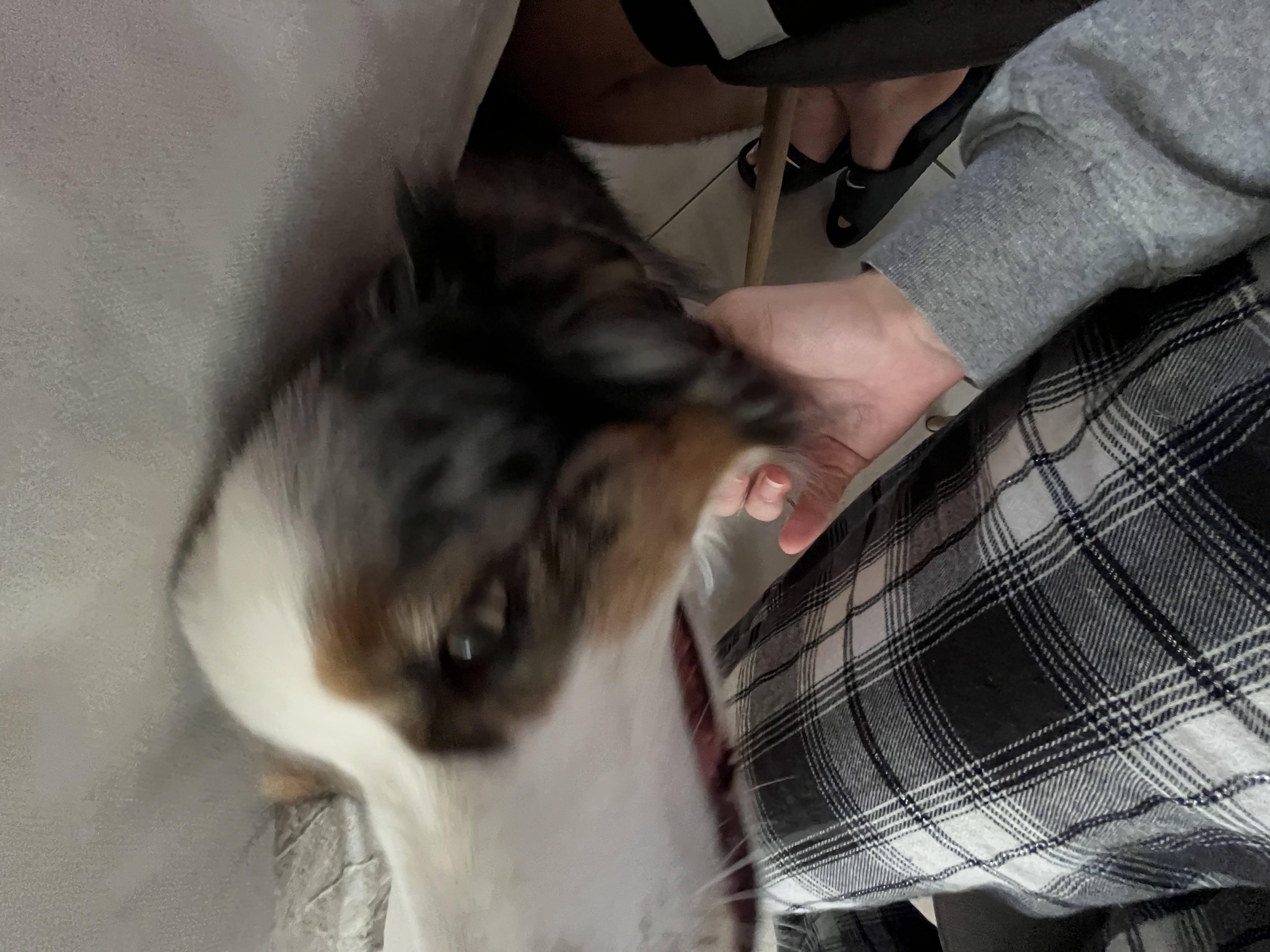 image-11