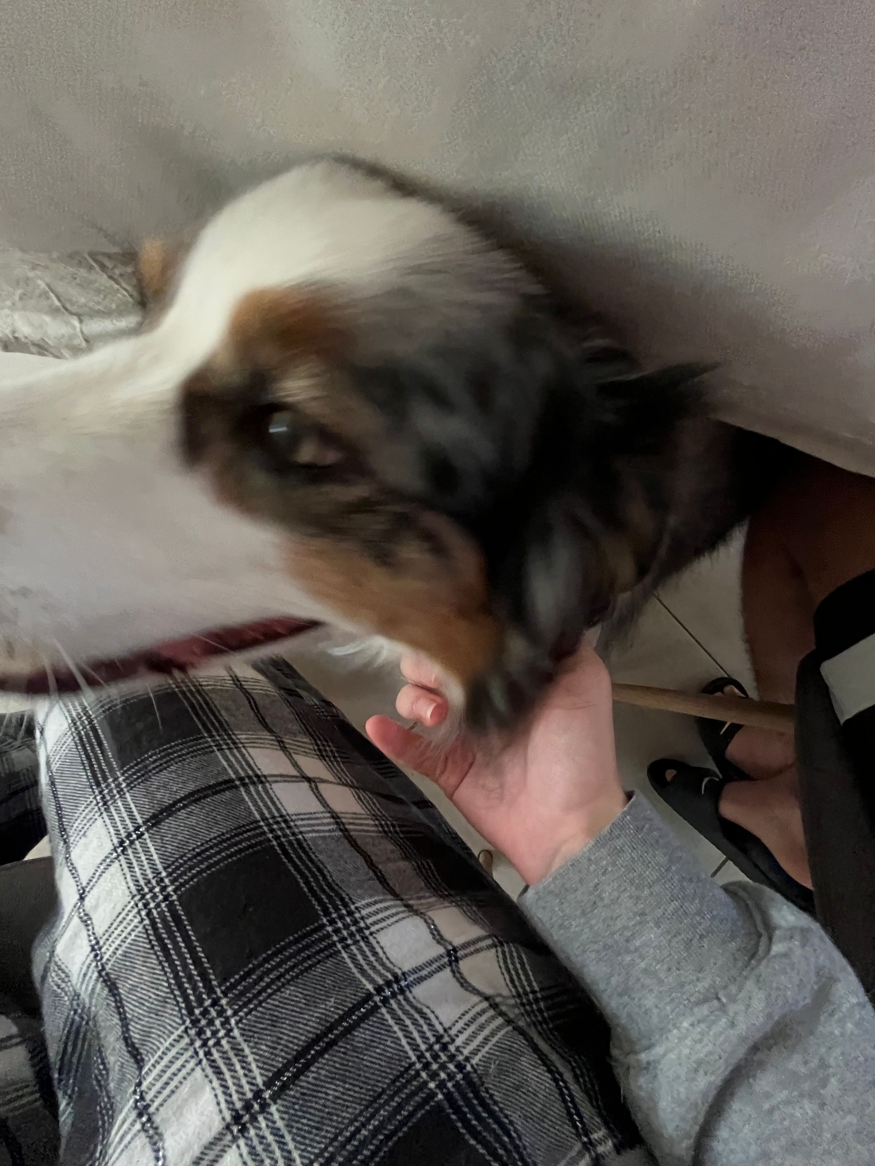 image-11