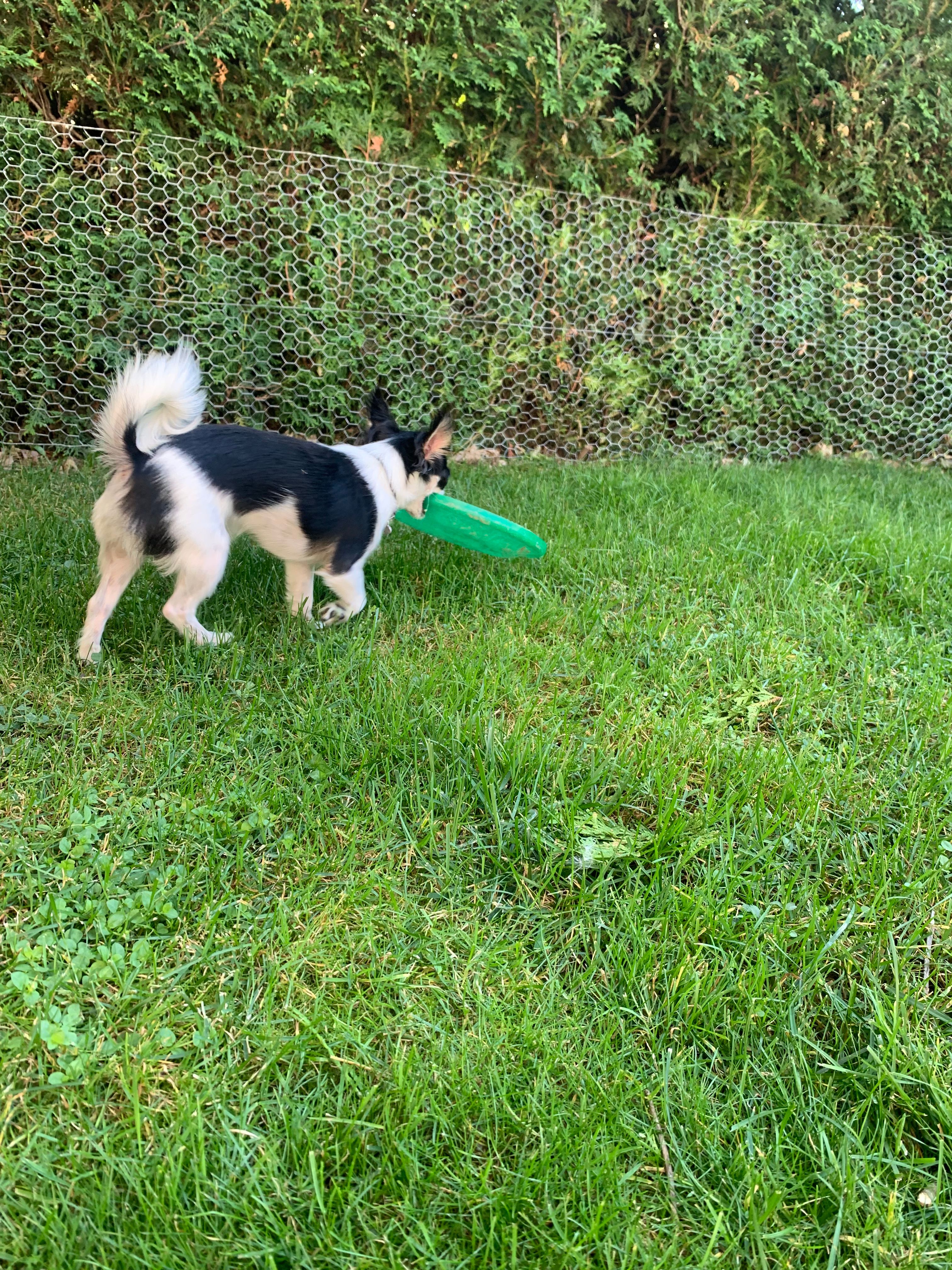 image-11