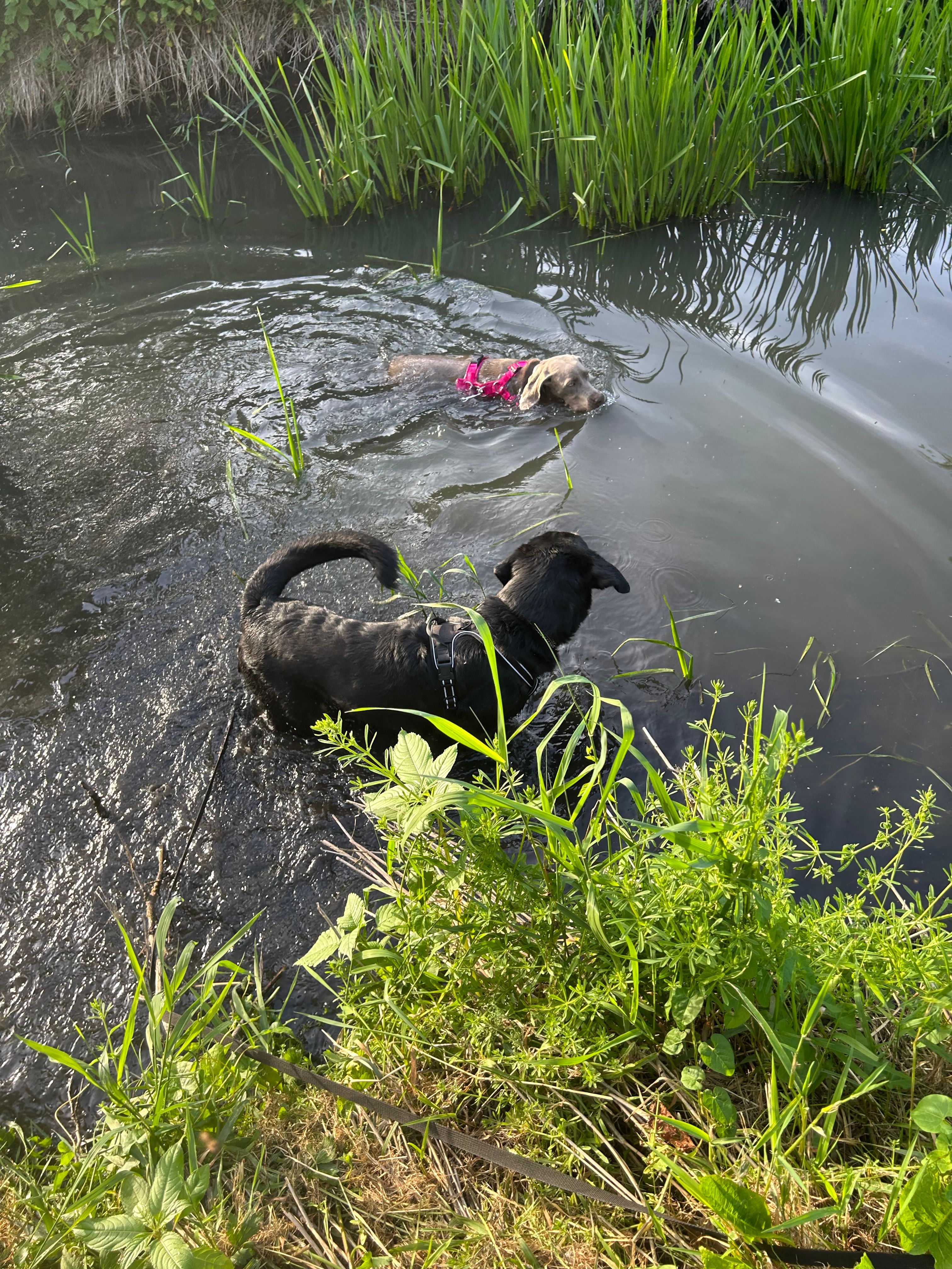 image-29