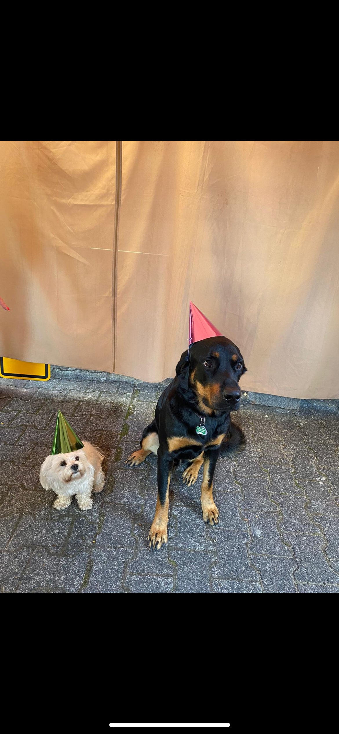 image-27