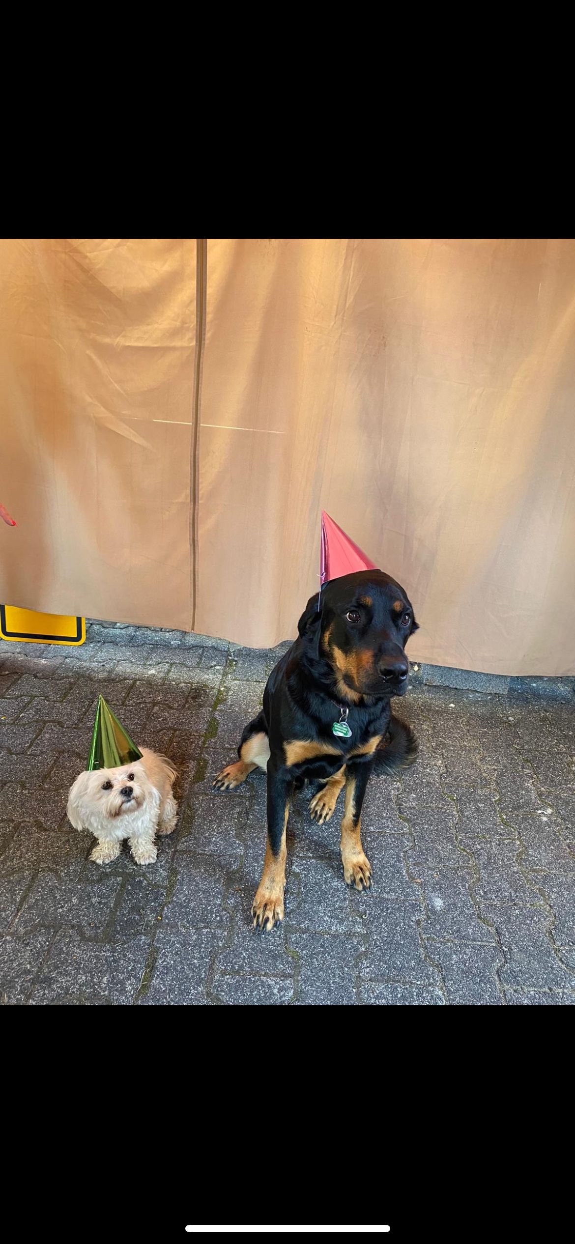 image-27