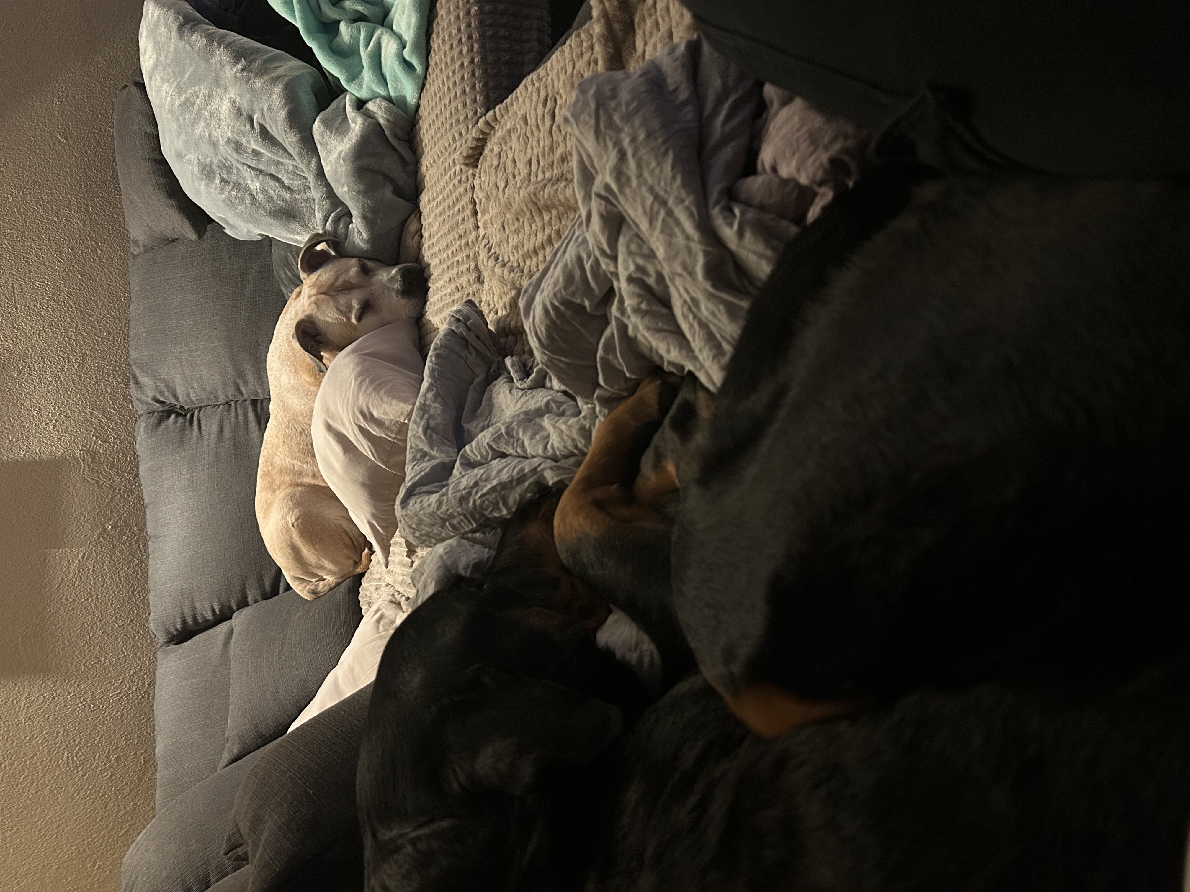 image-7