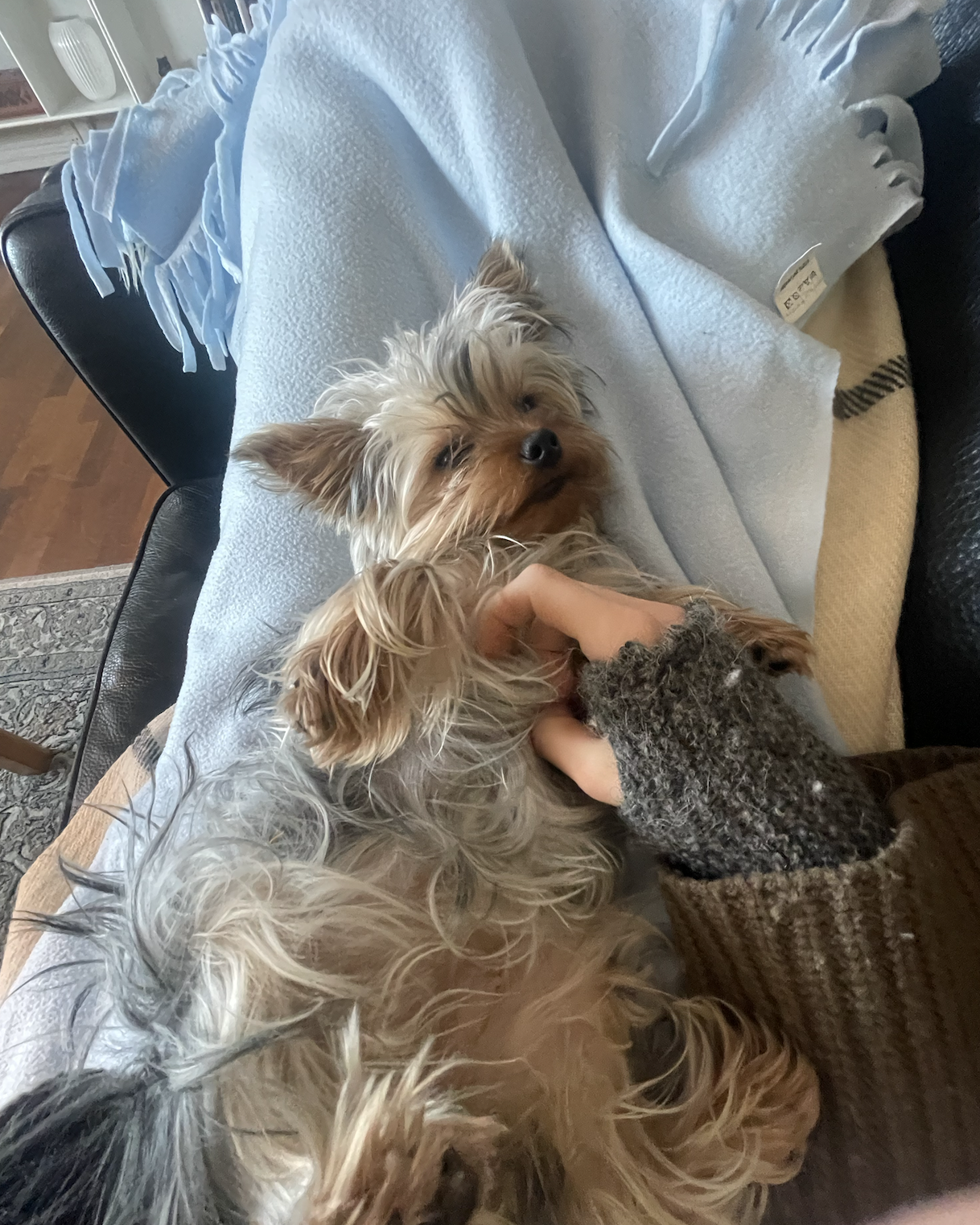 image-6
