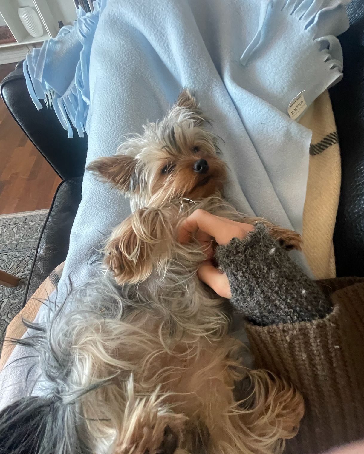 image-6