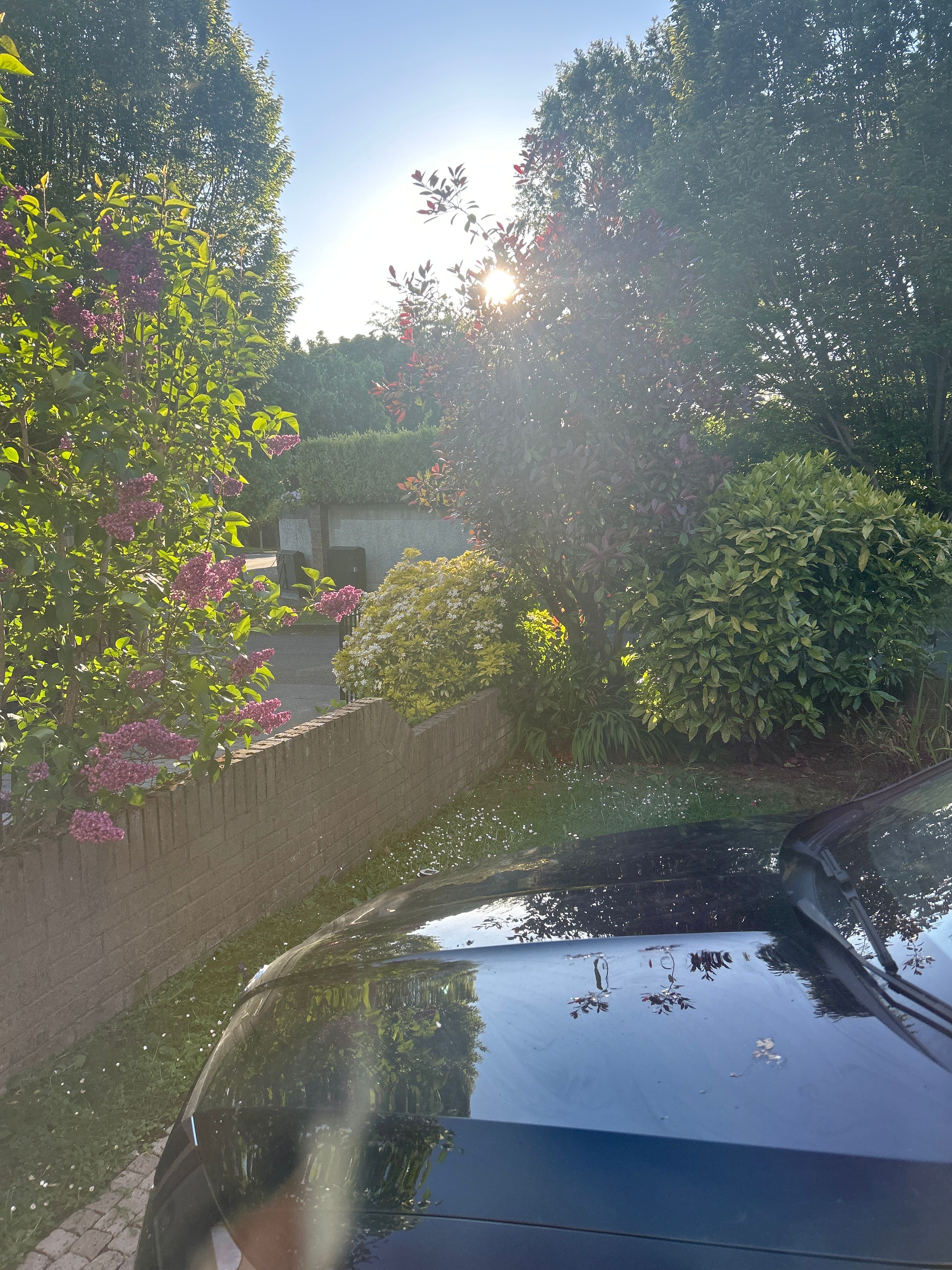 image-19