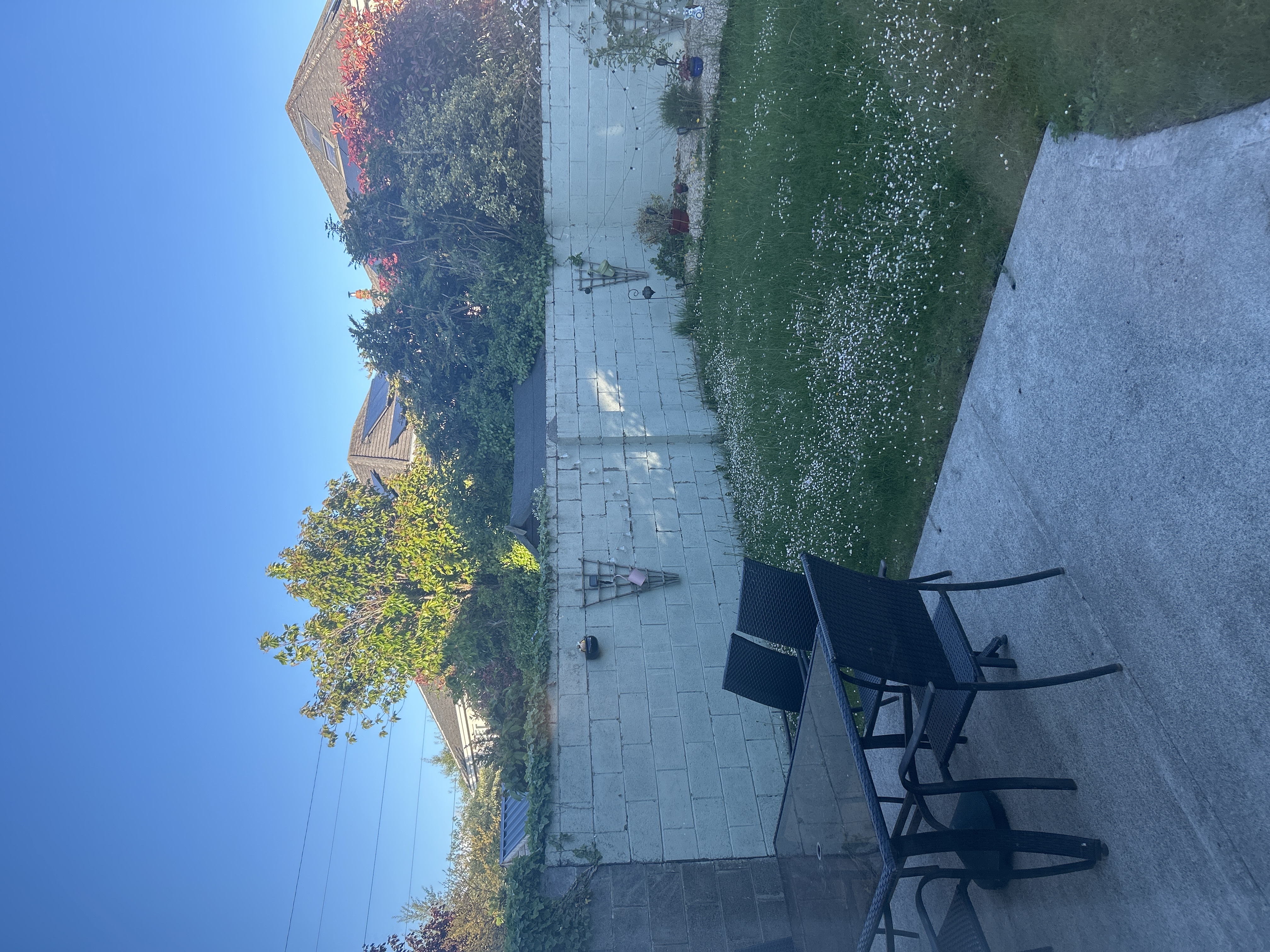 image-16