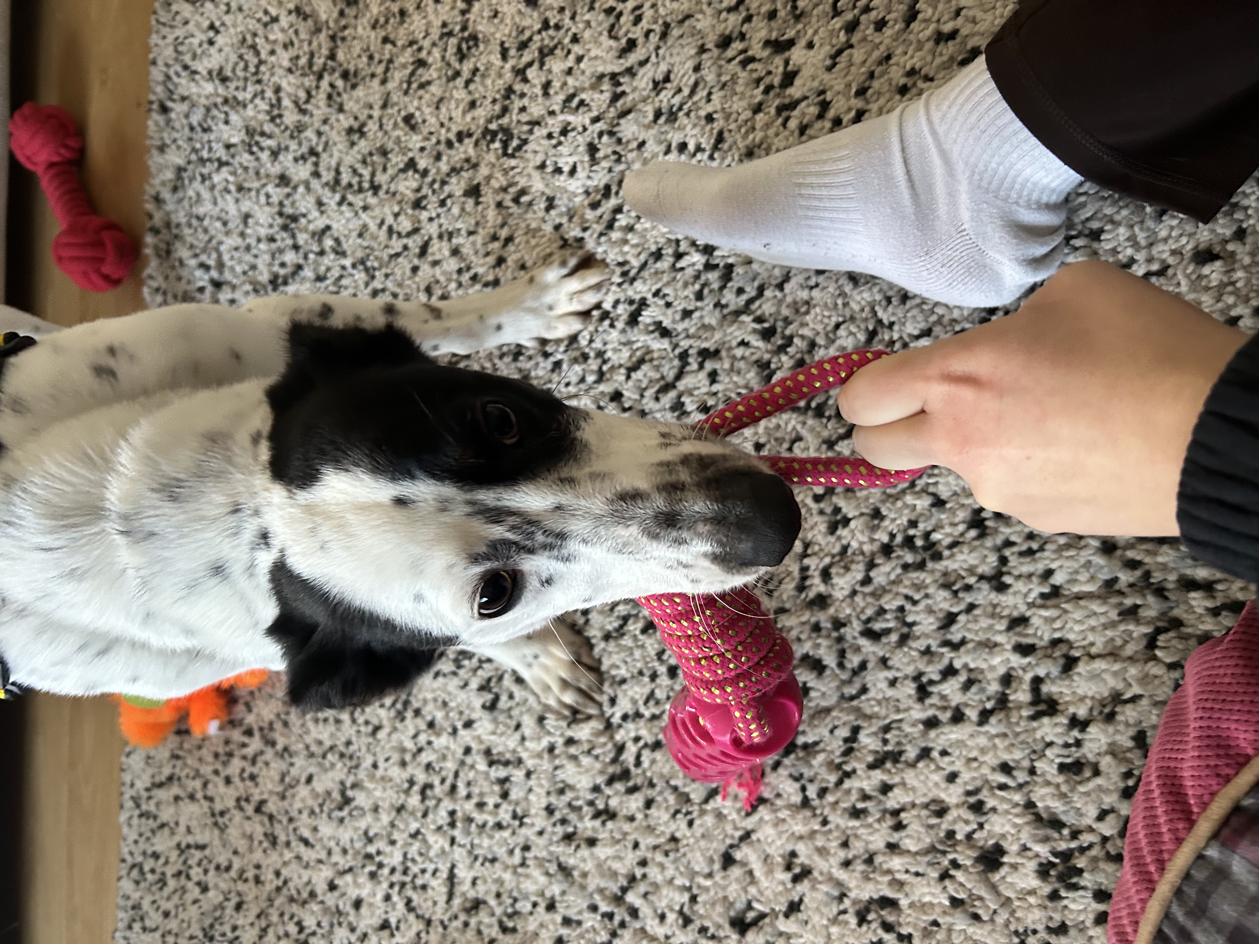 image-9