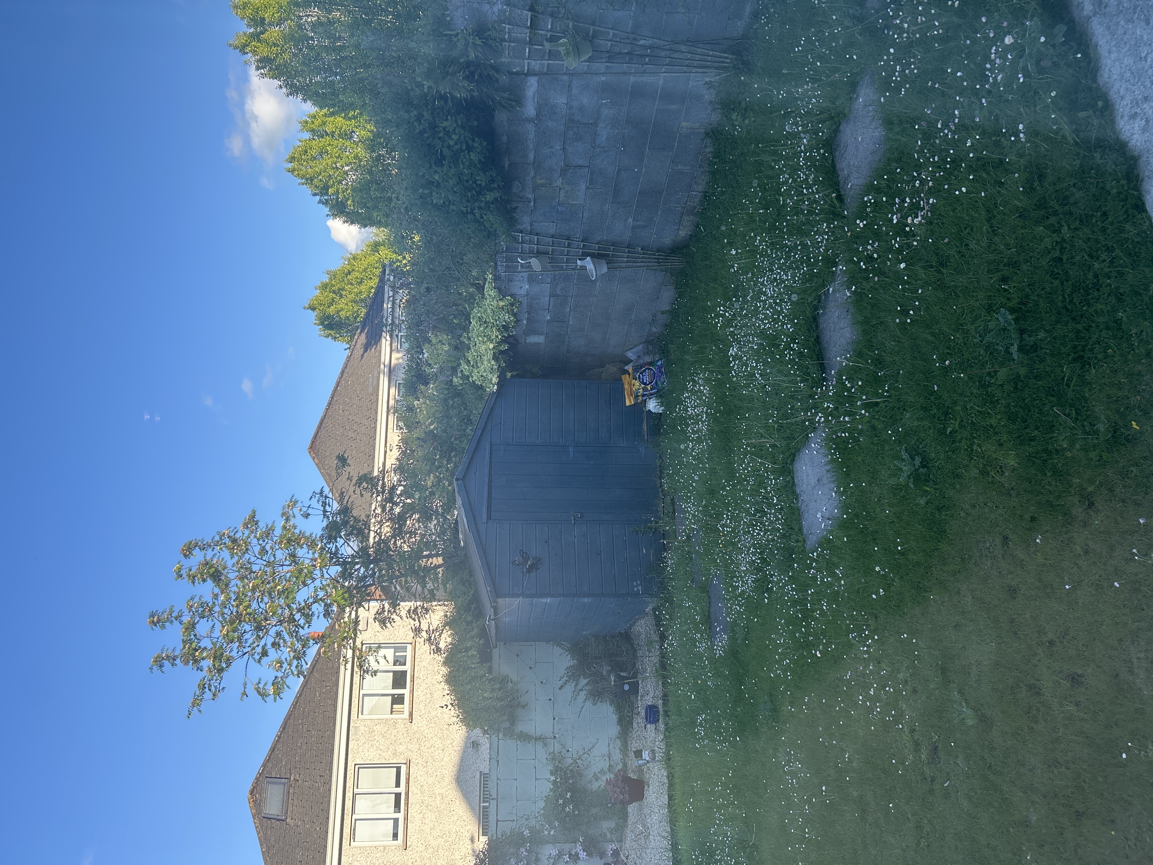 image-17