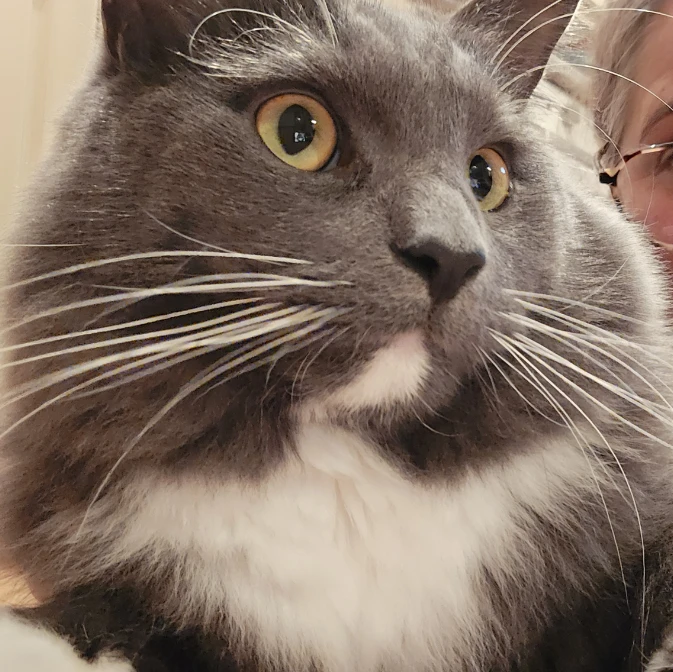 Hugo