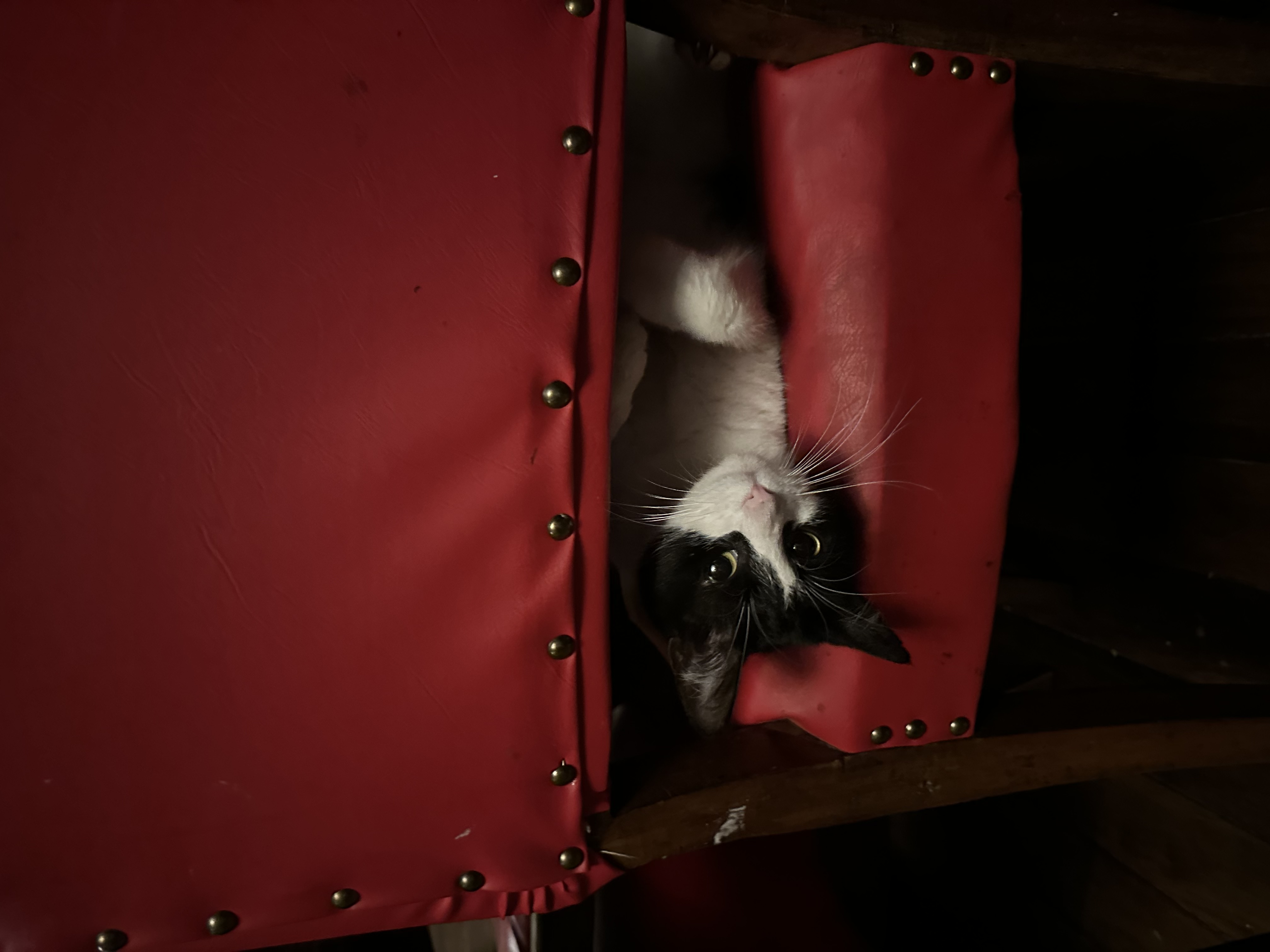 image-7