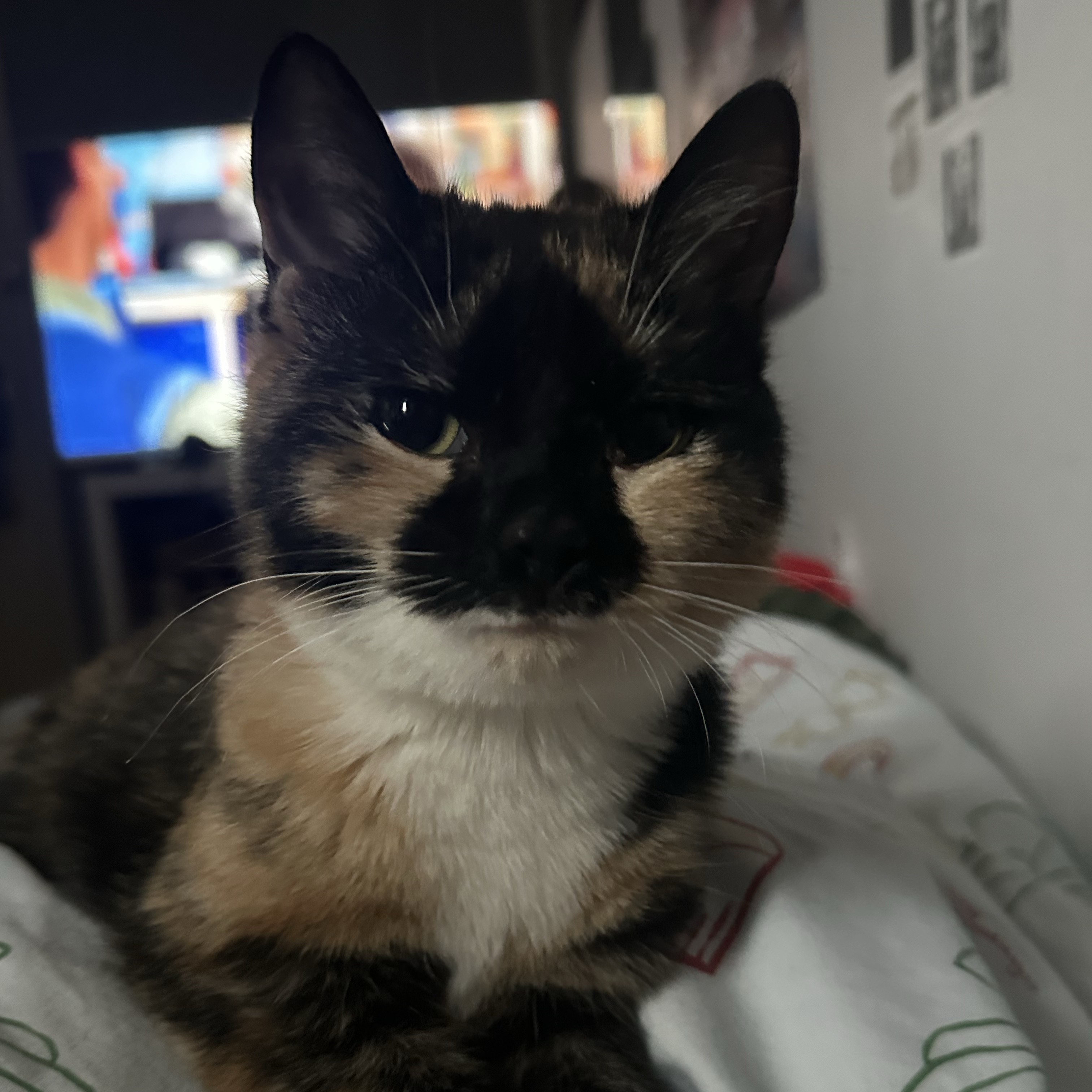 Smudge 
