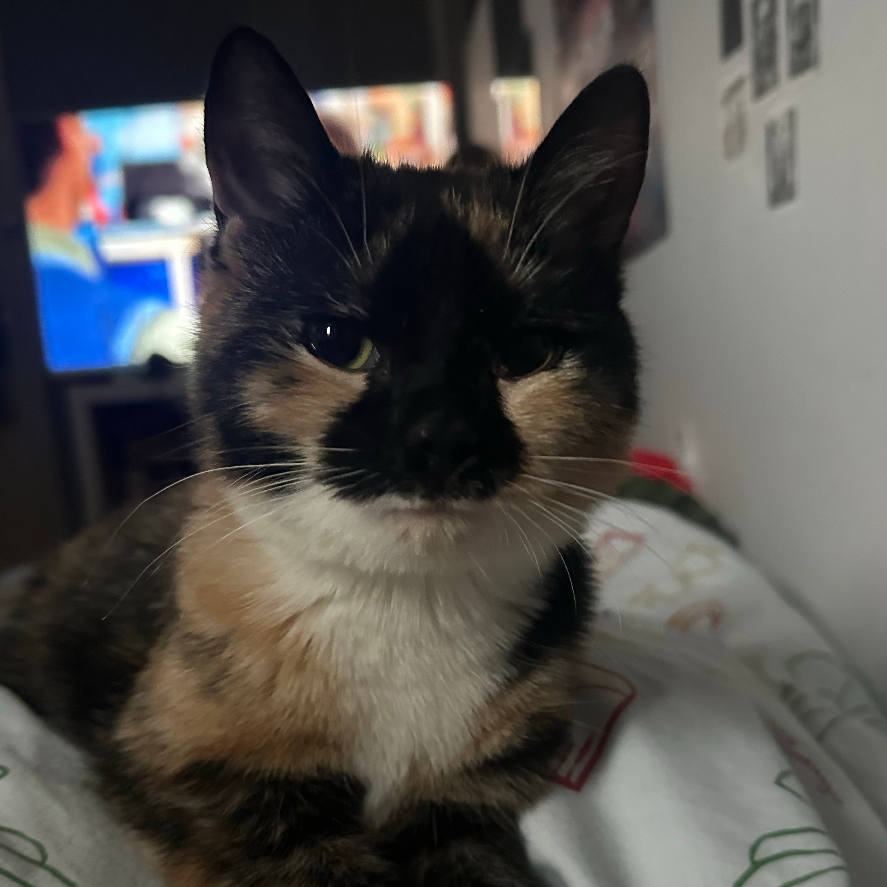Smudge