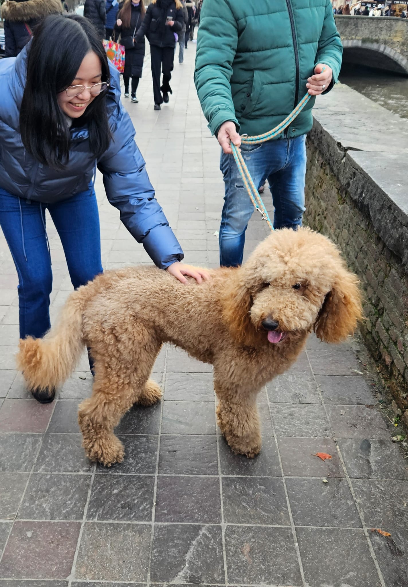 image-2