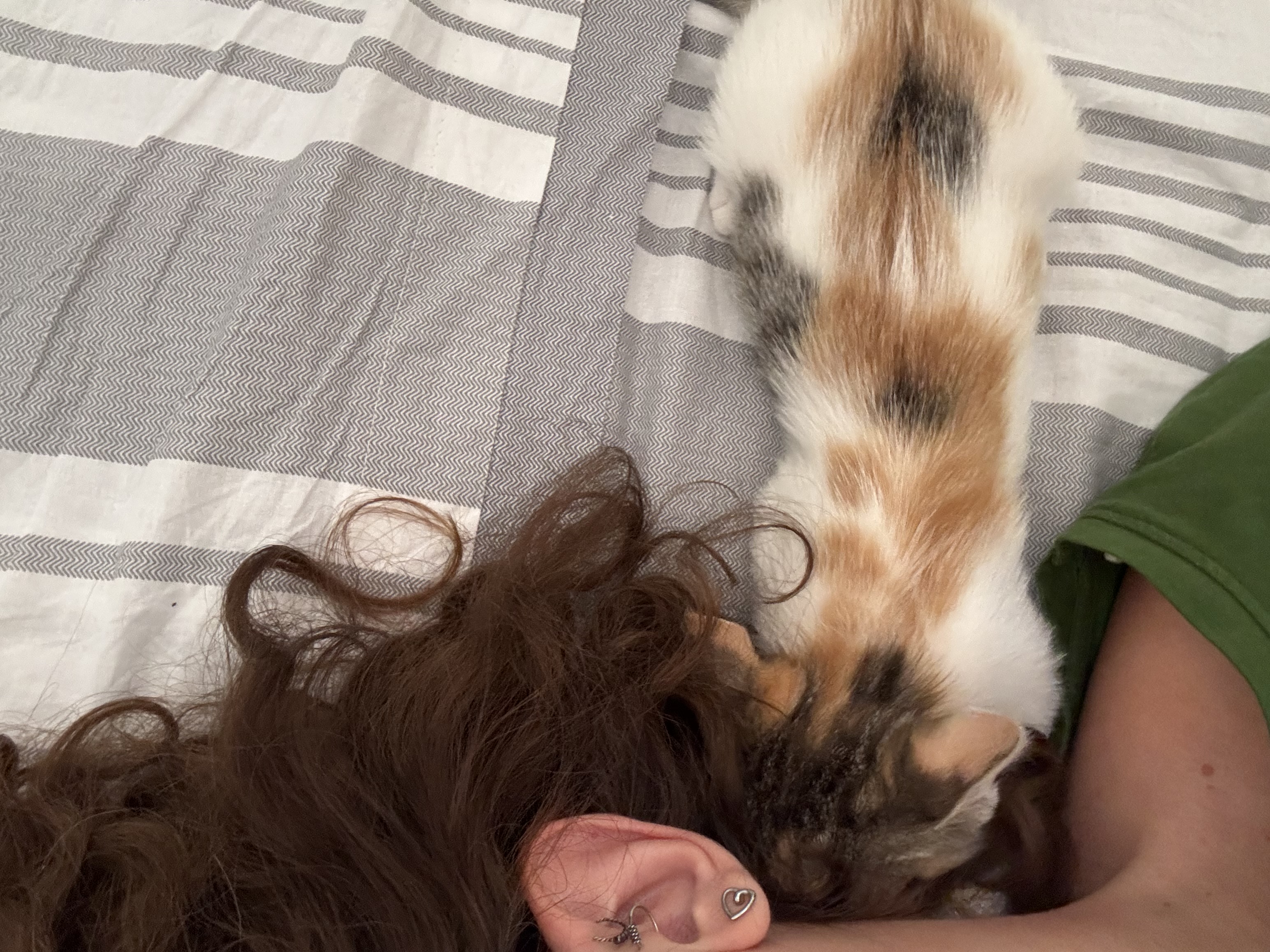 image-7