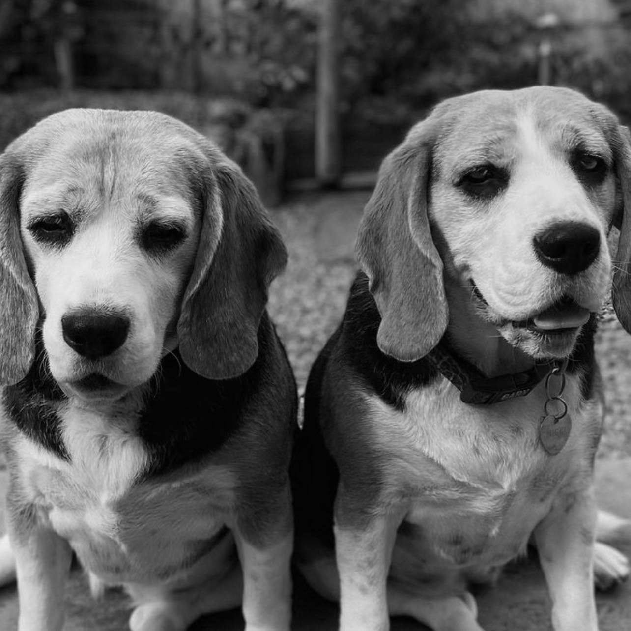 Lena & Nicky