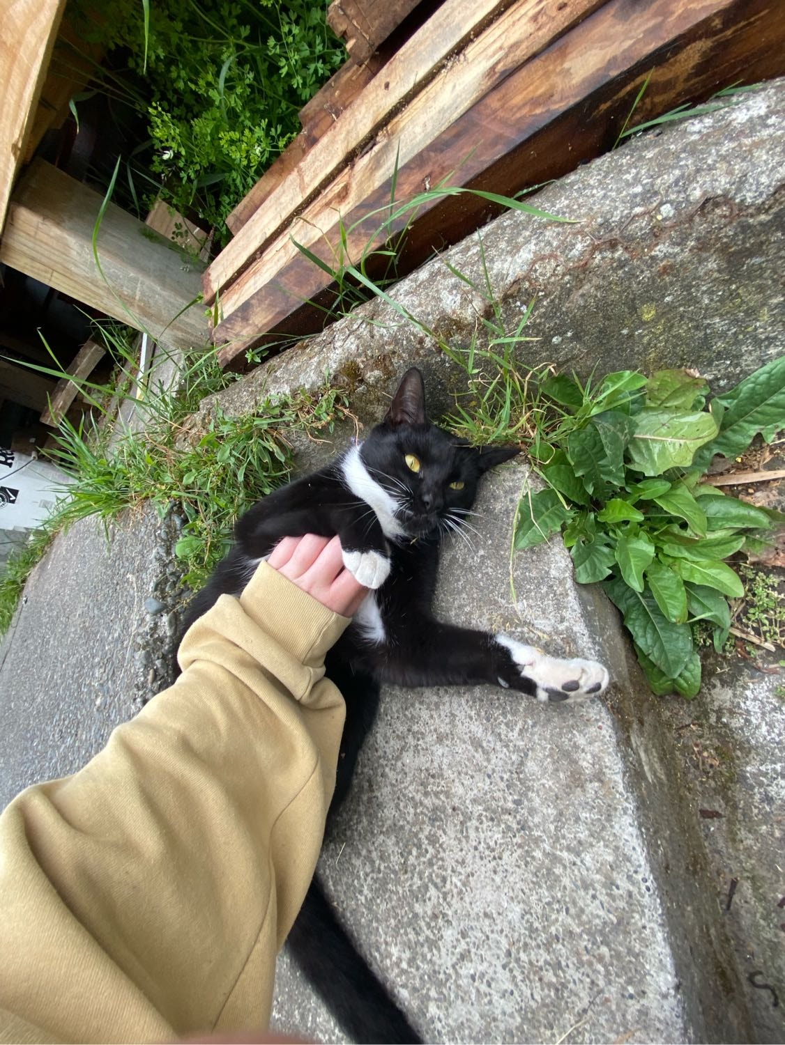 image-12