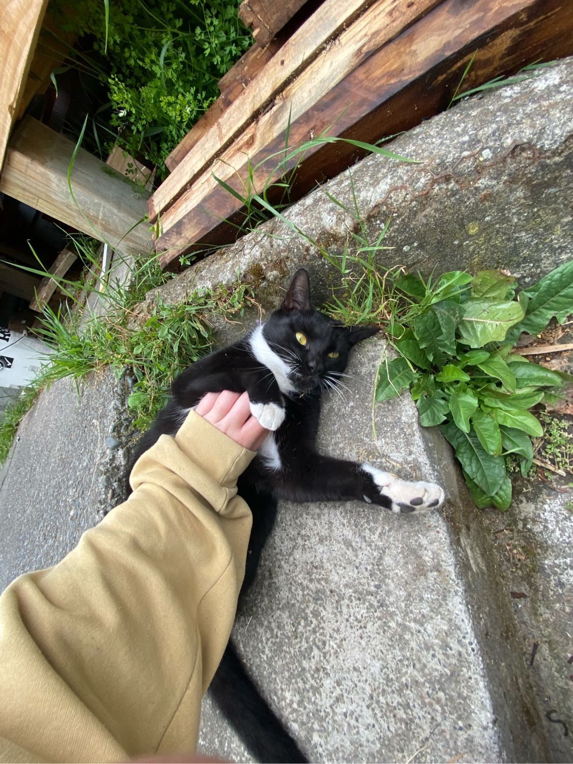 image-12