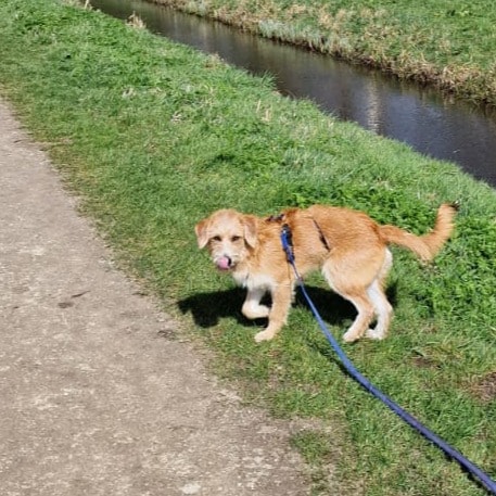 Sjoerd