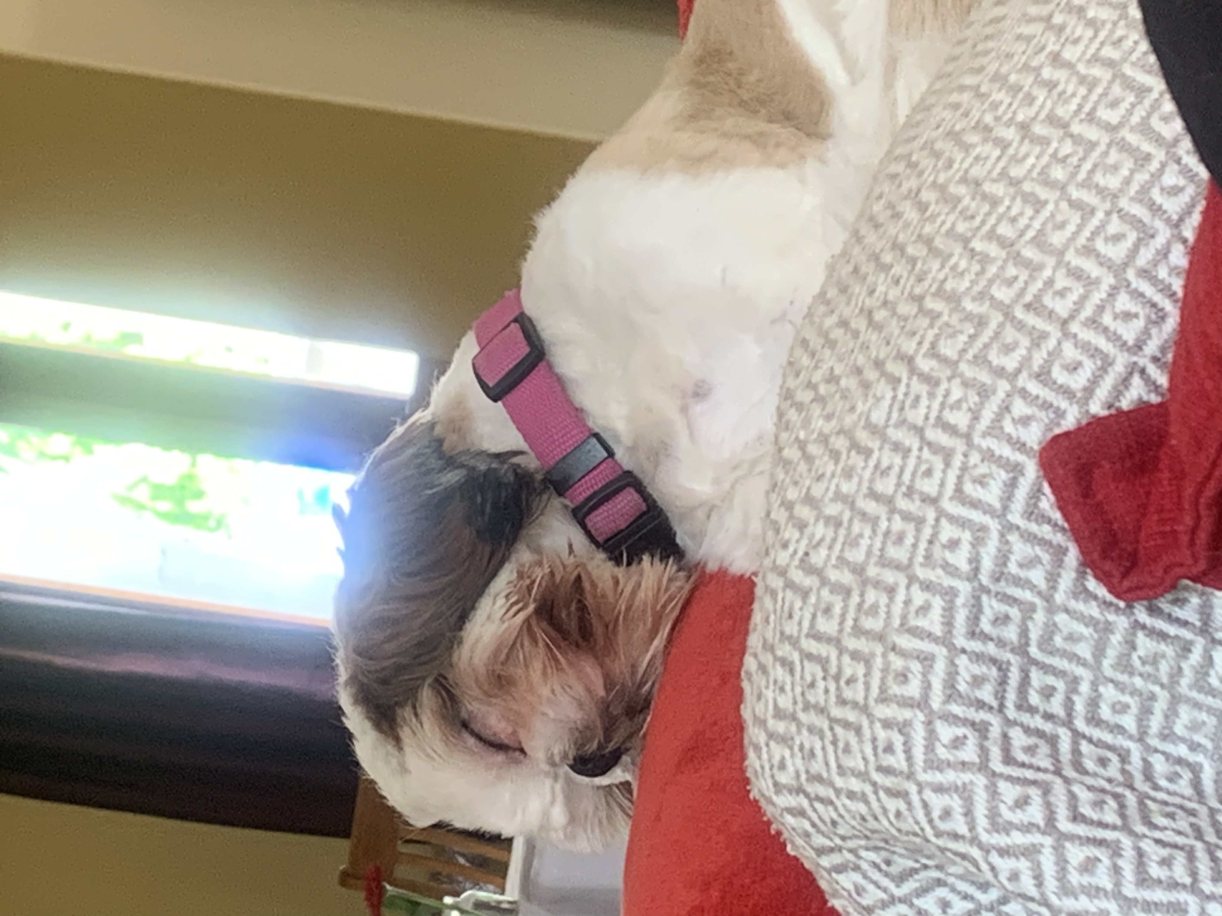 image-6