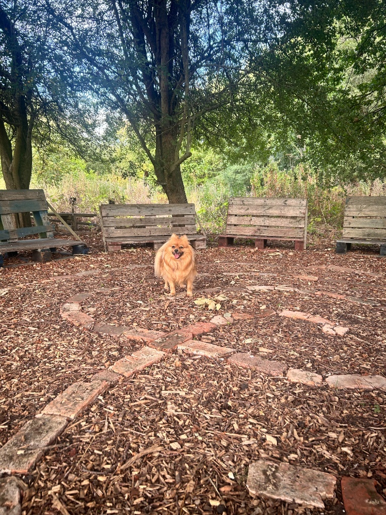 image-17