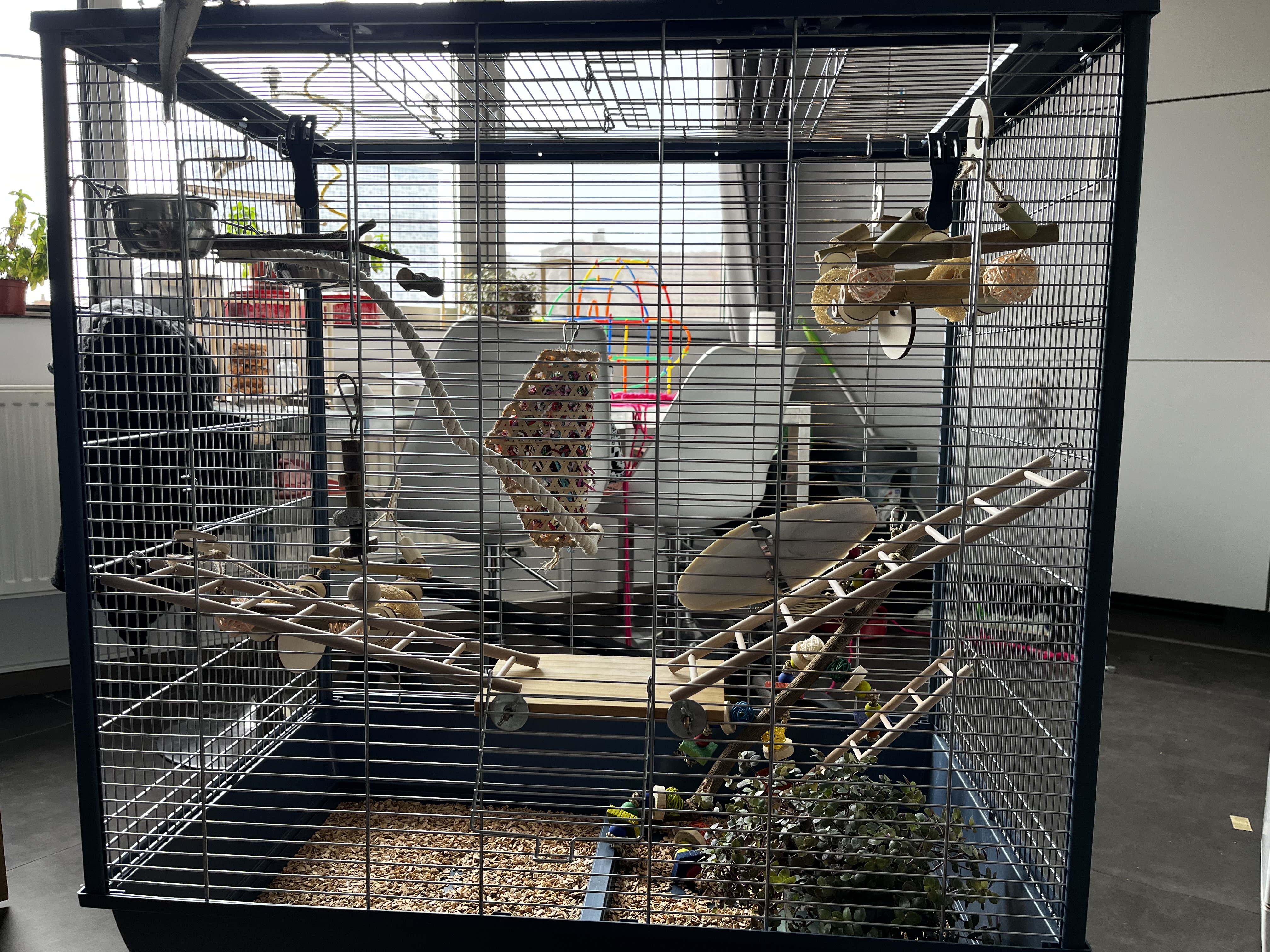 image-14