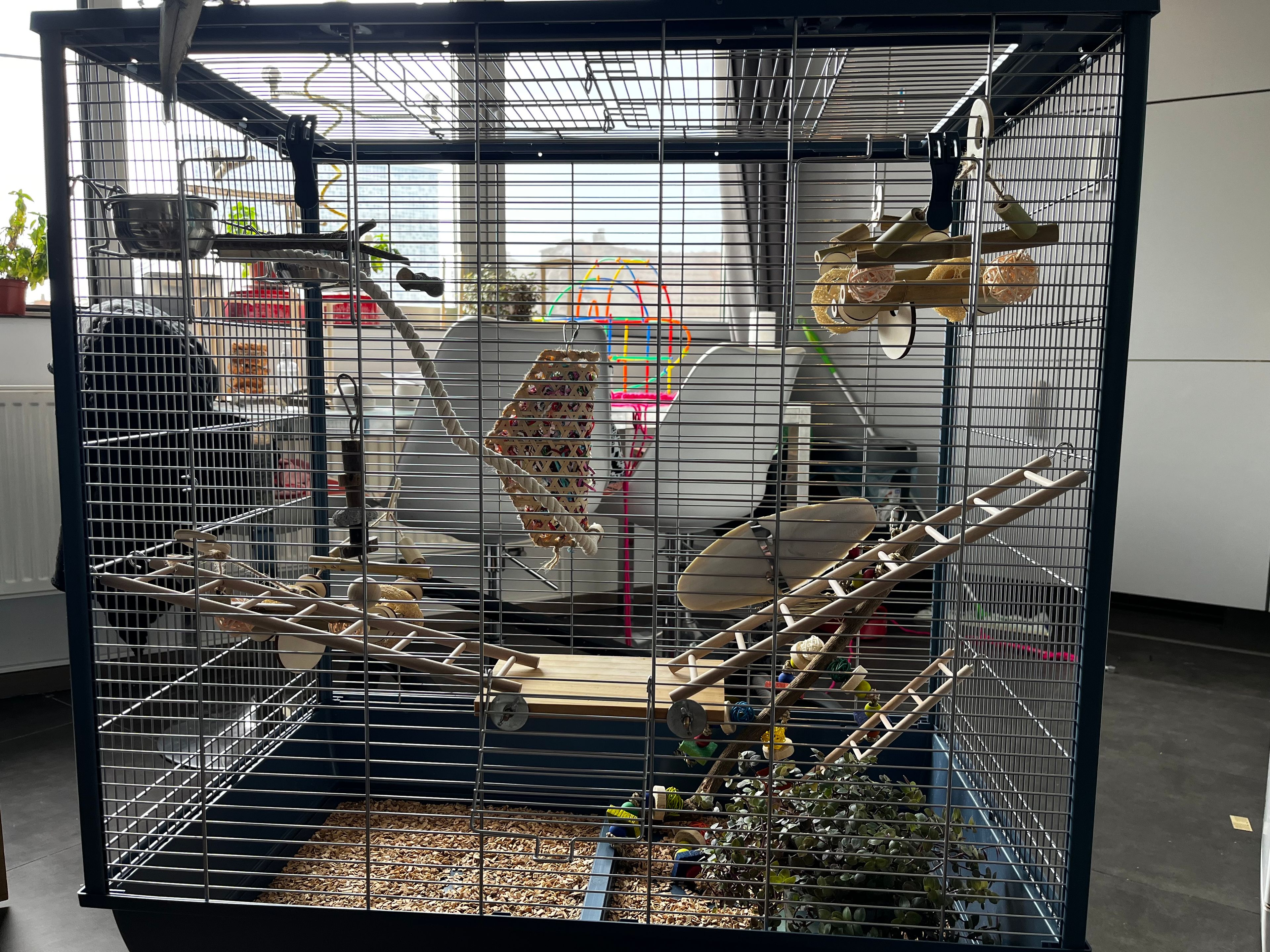 image-14