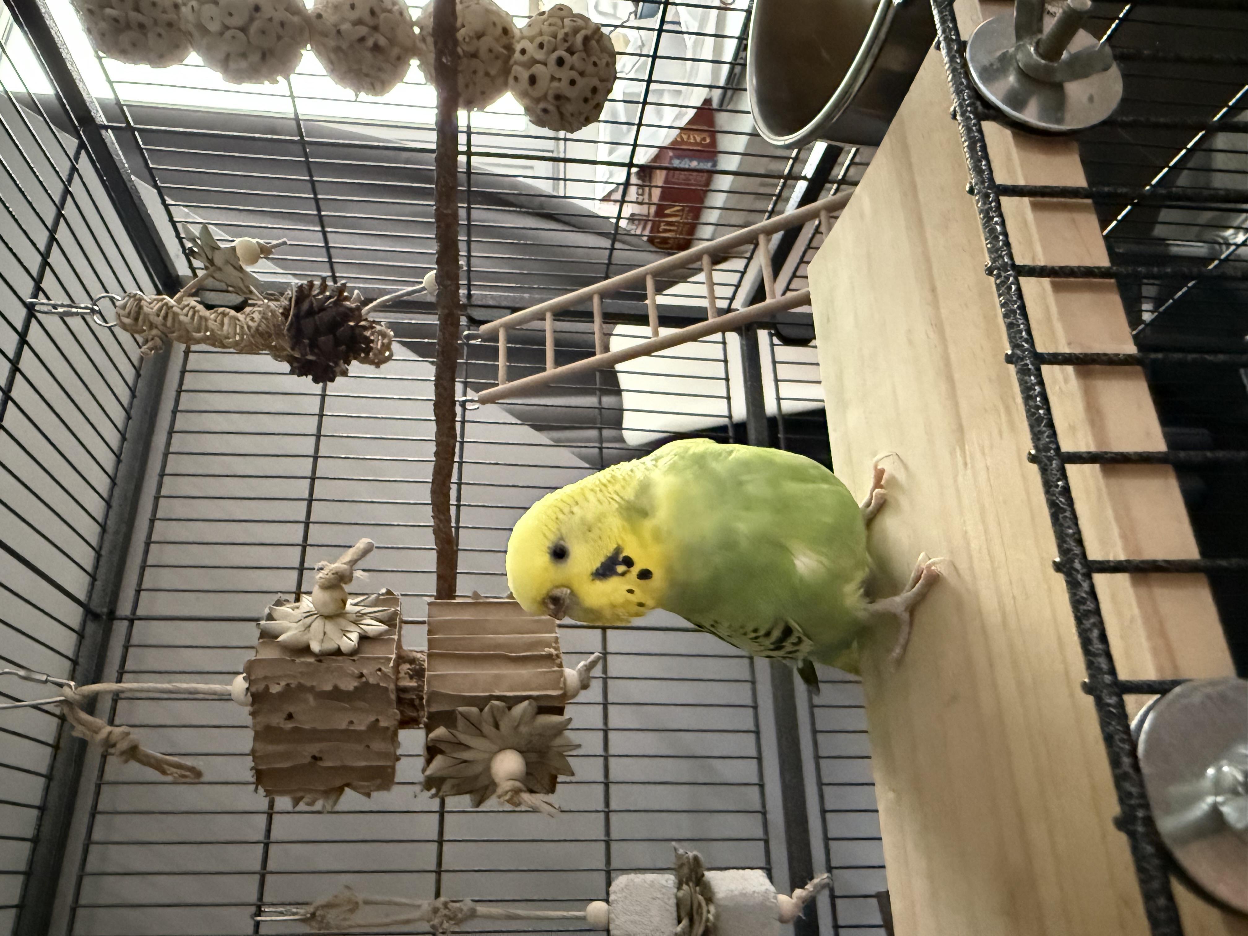 image-9
