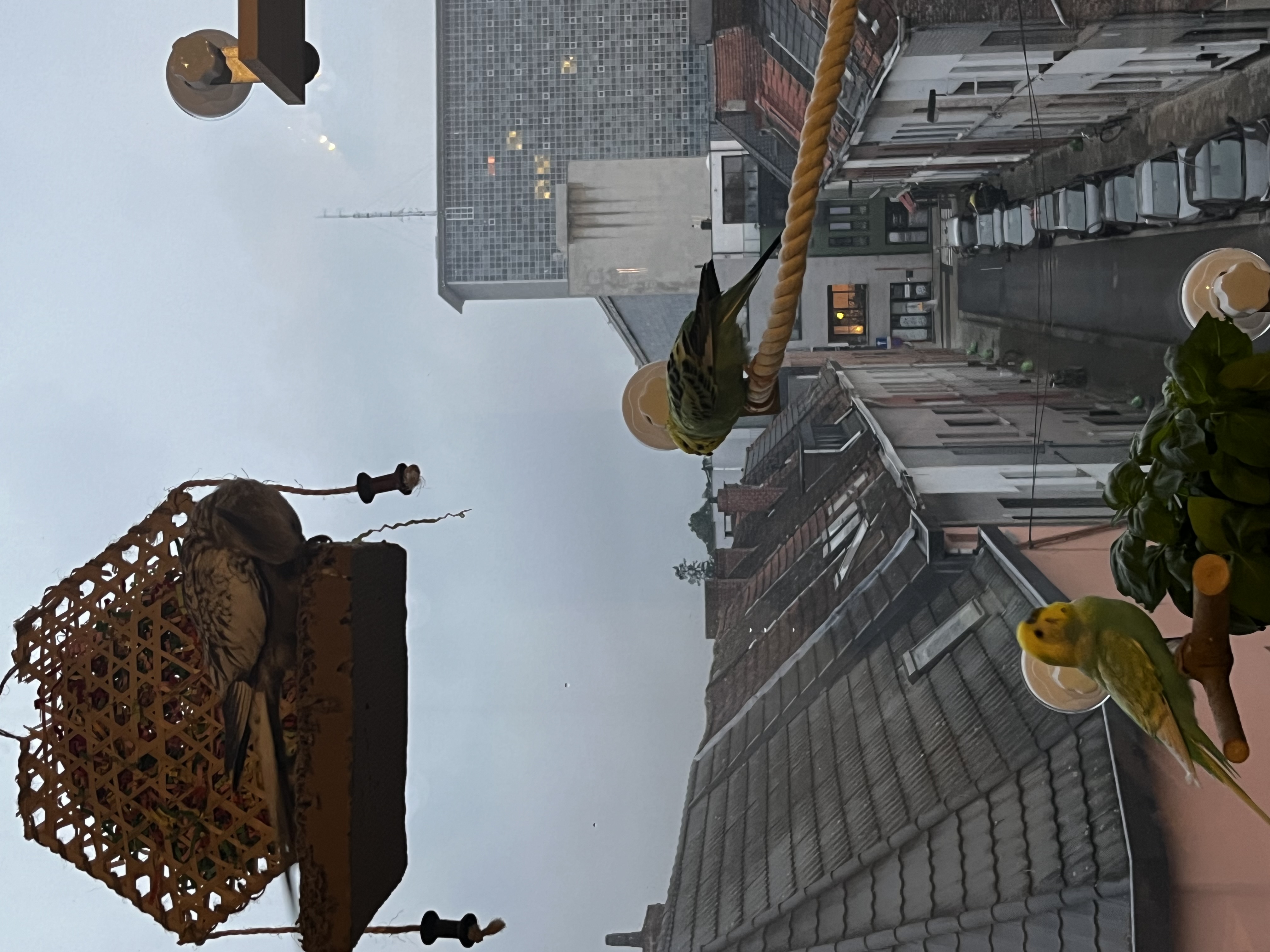 image-13