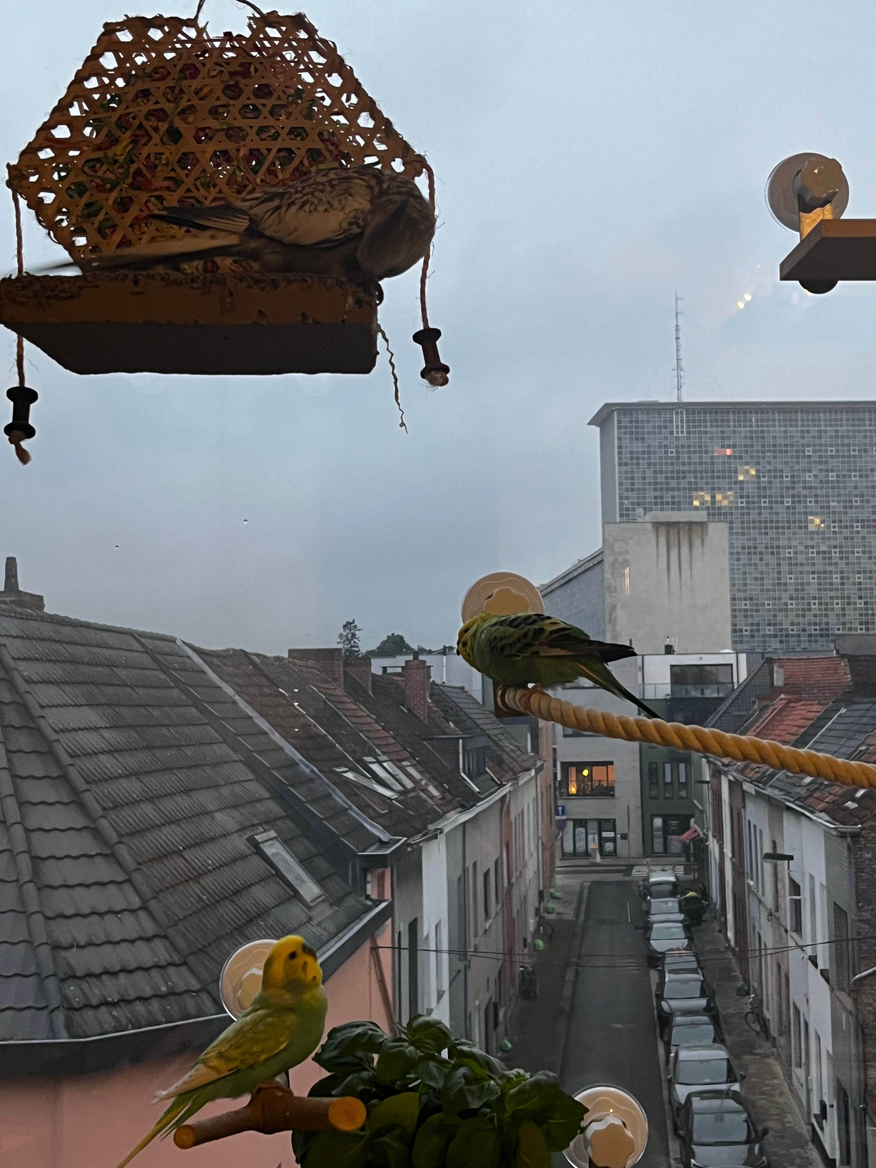 image-13