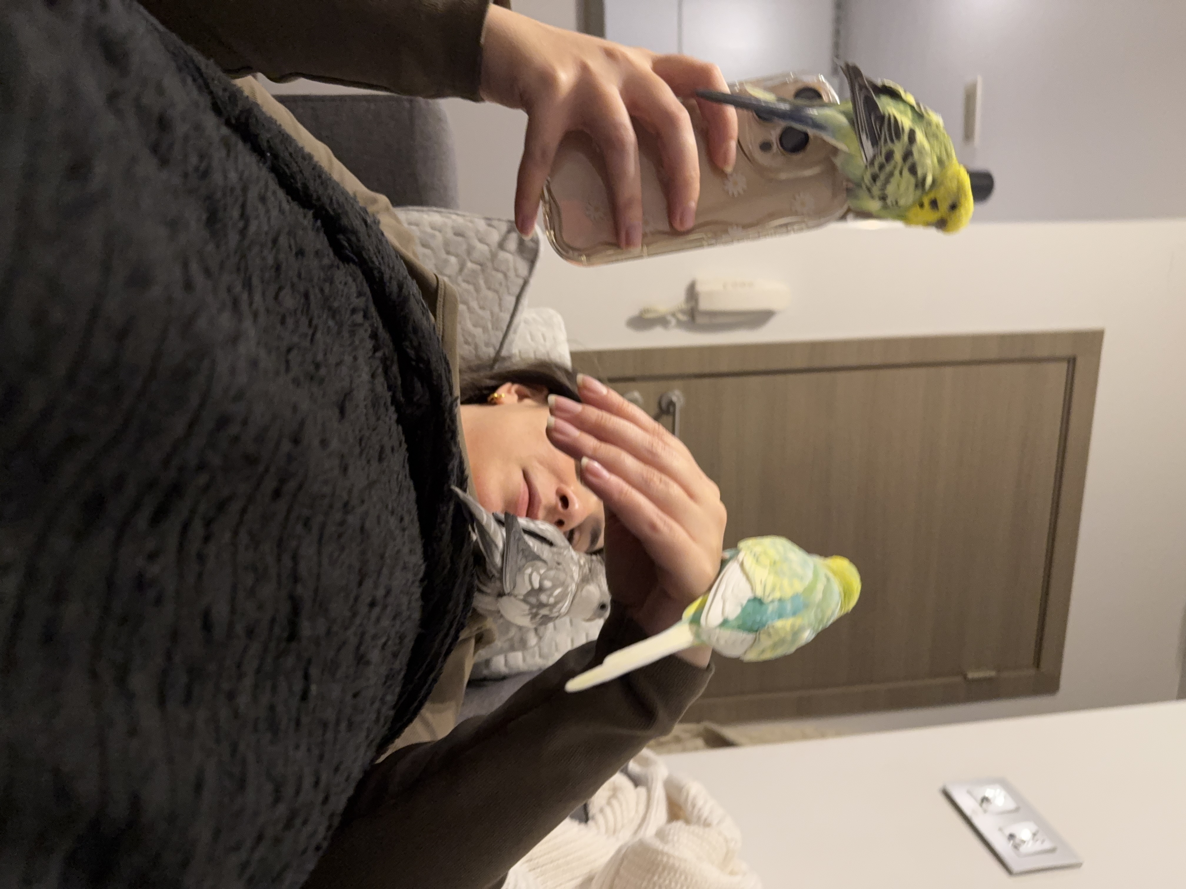 image-6
