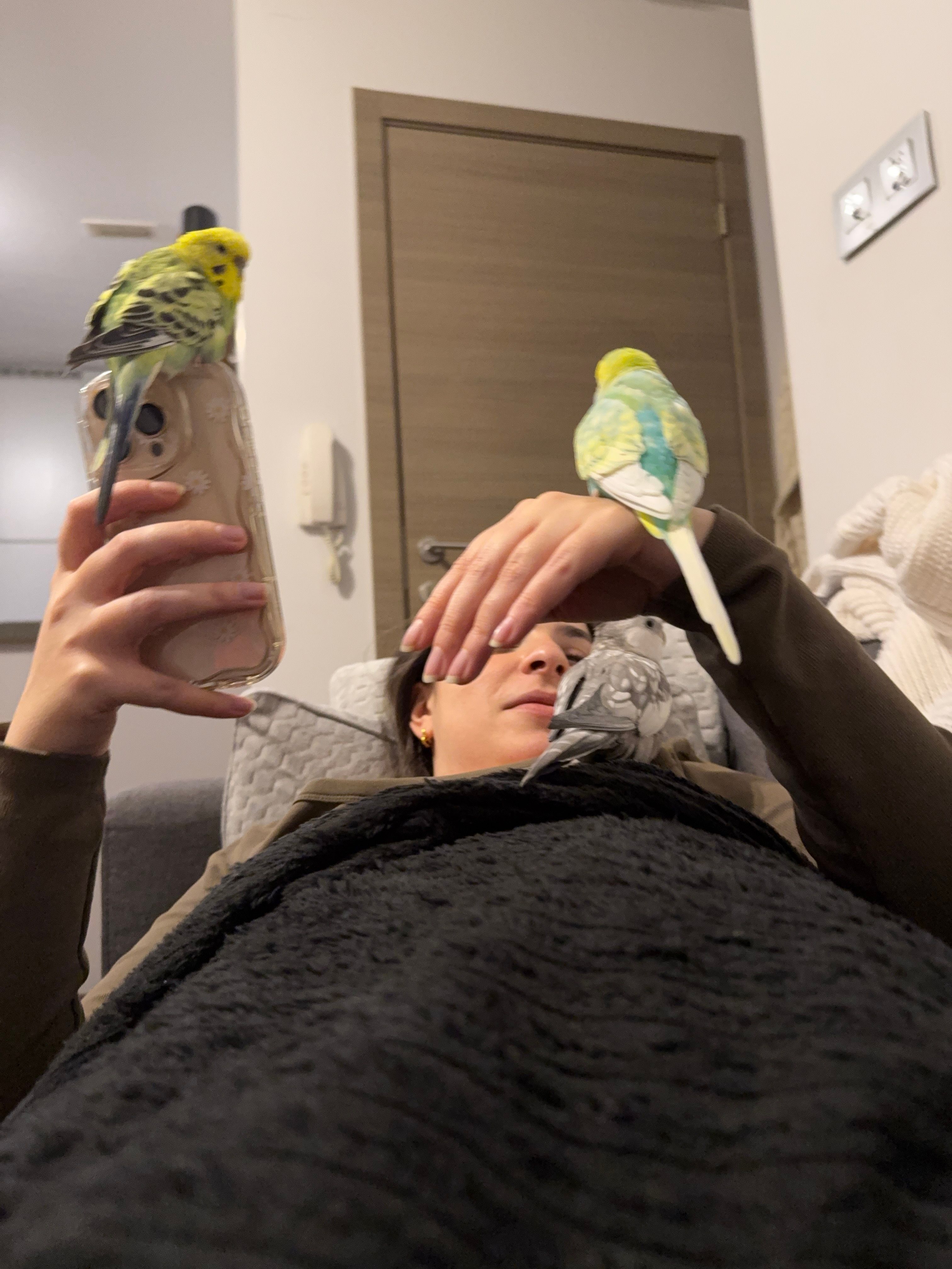 image-6