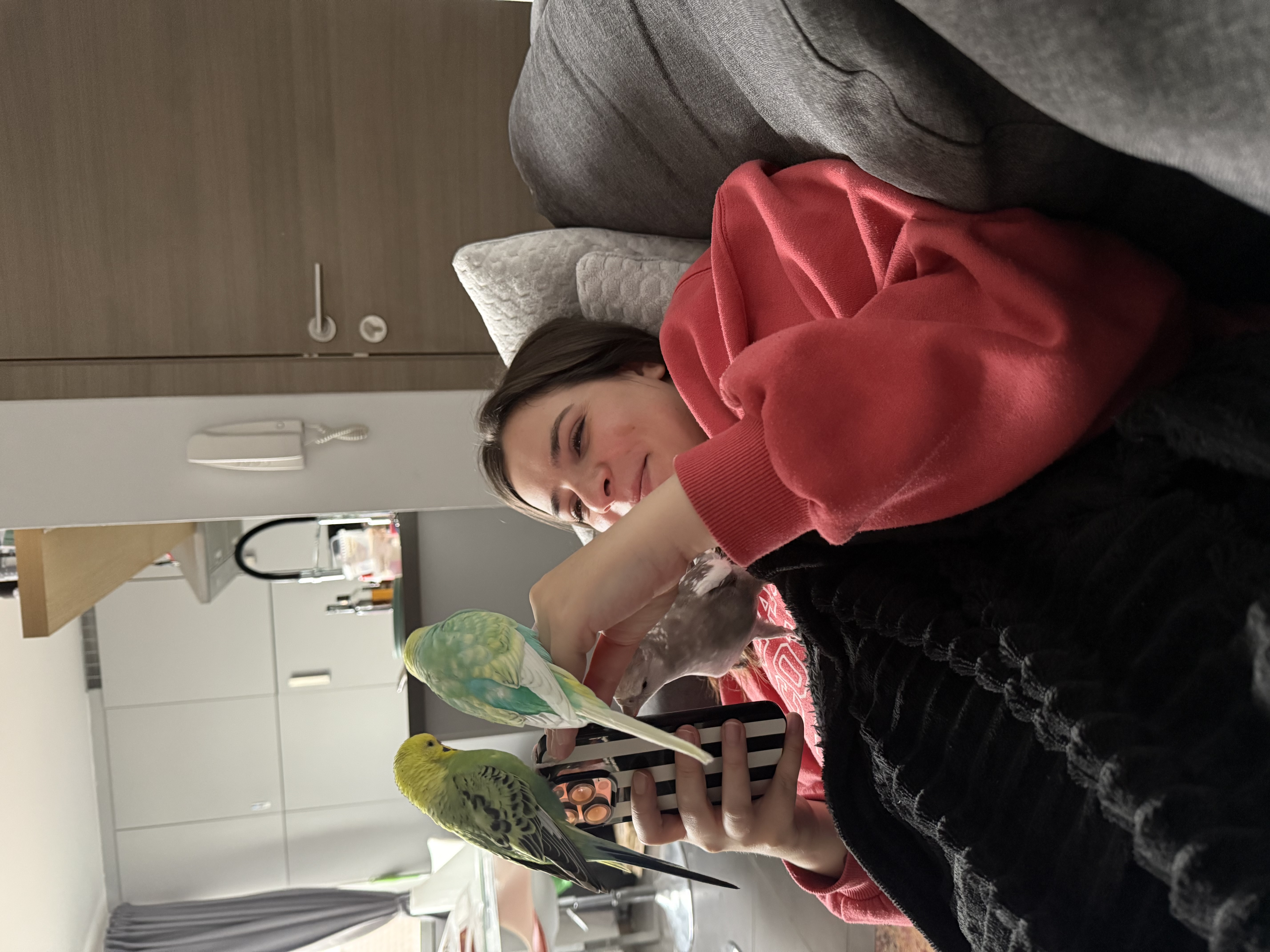 image-11