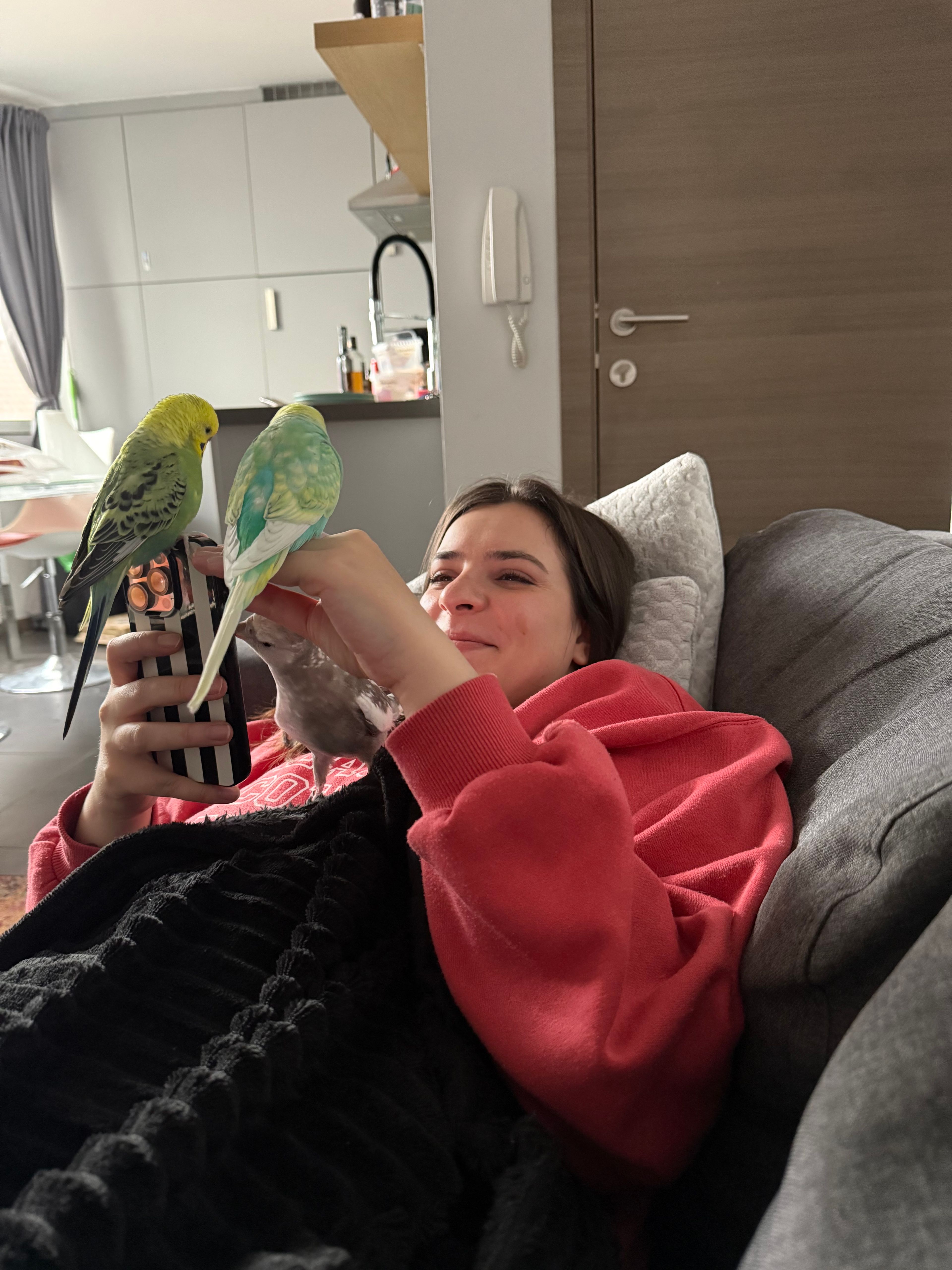 image-11