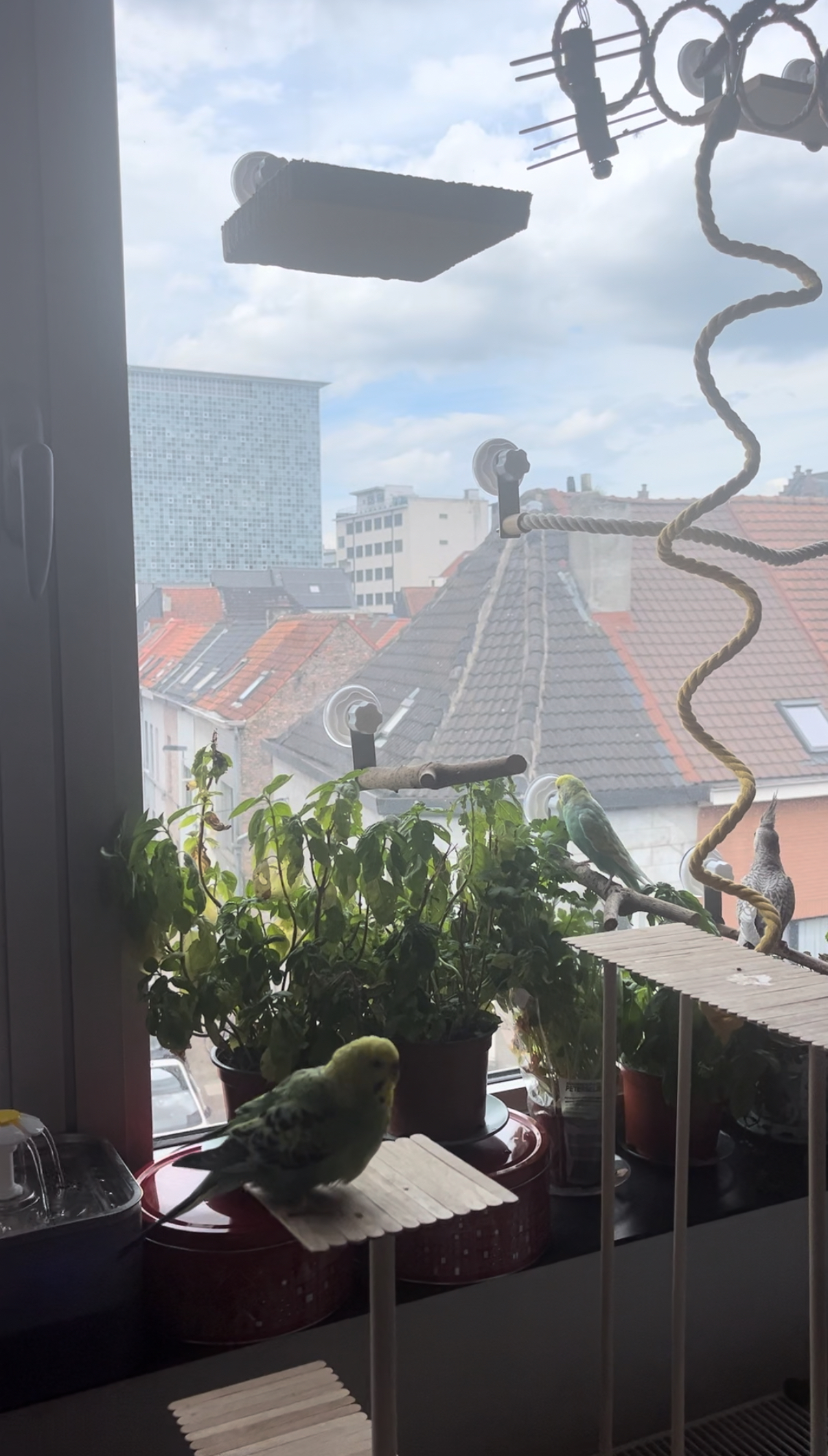 image-12