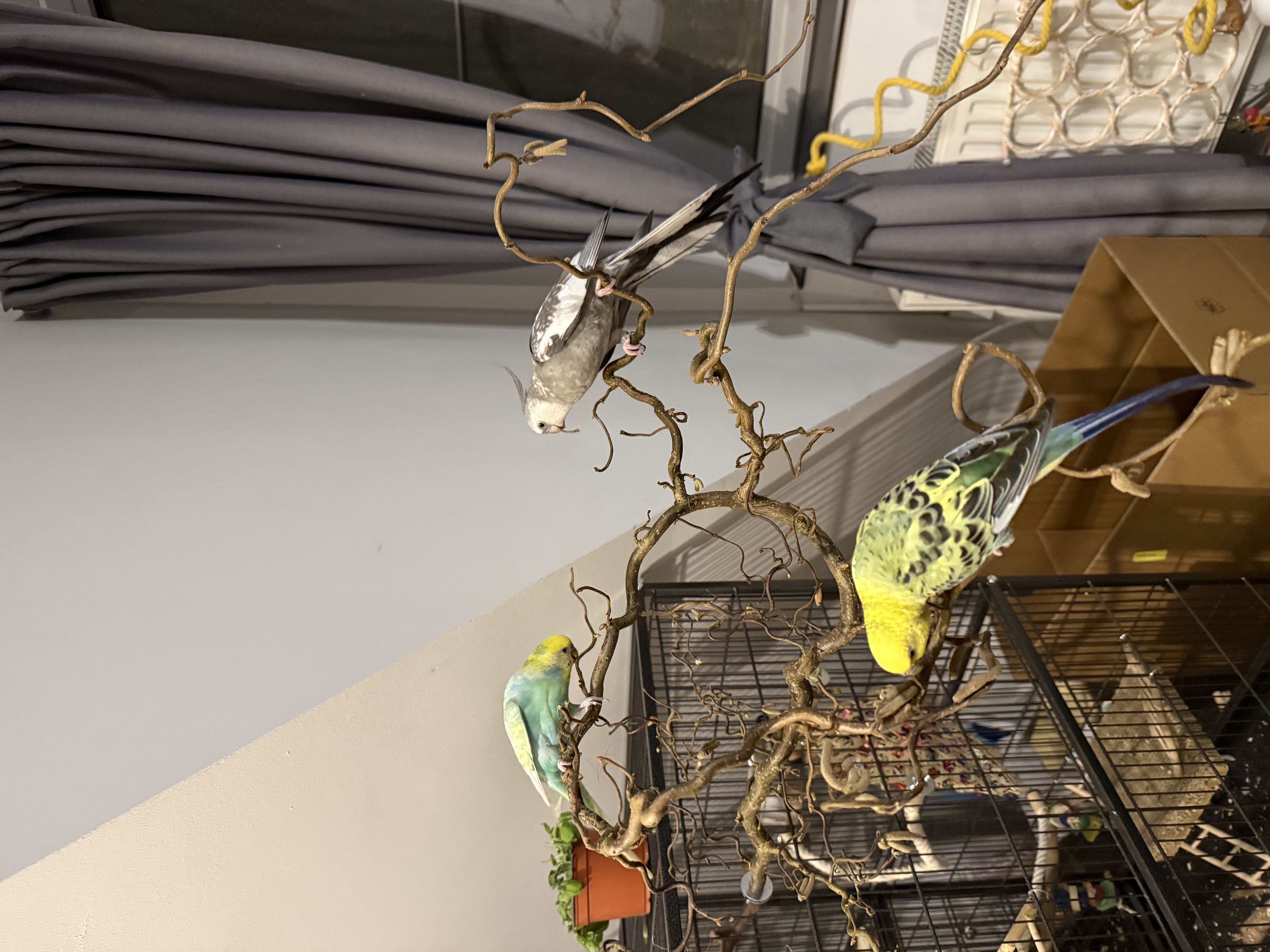 image-10