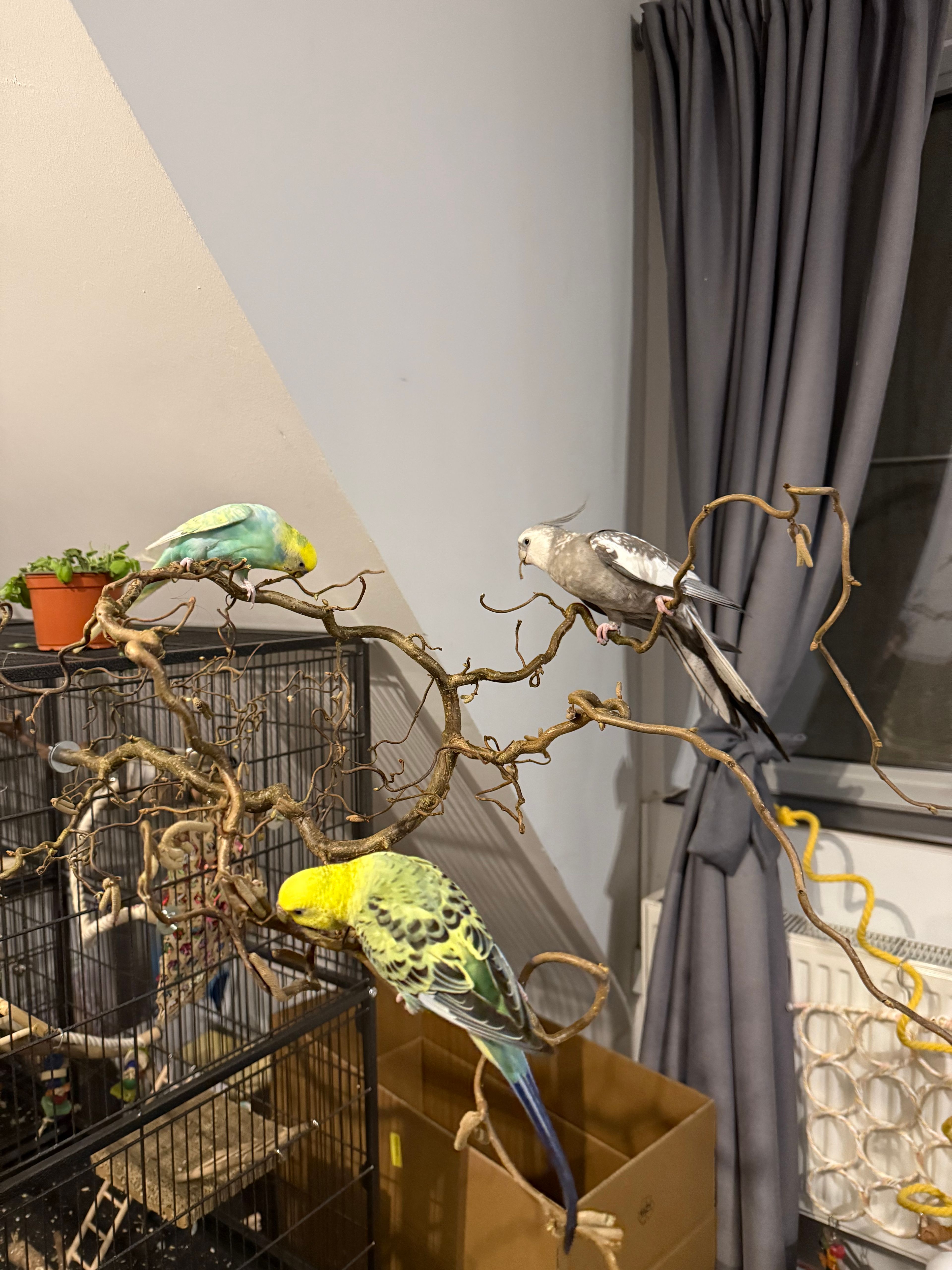 image-10