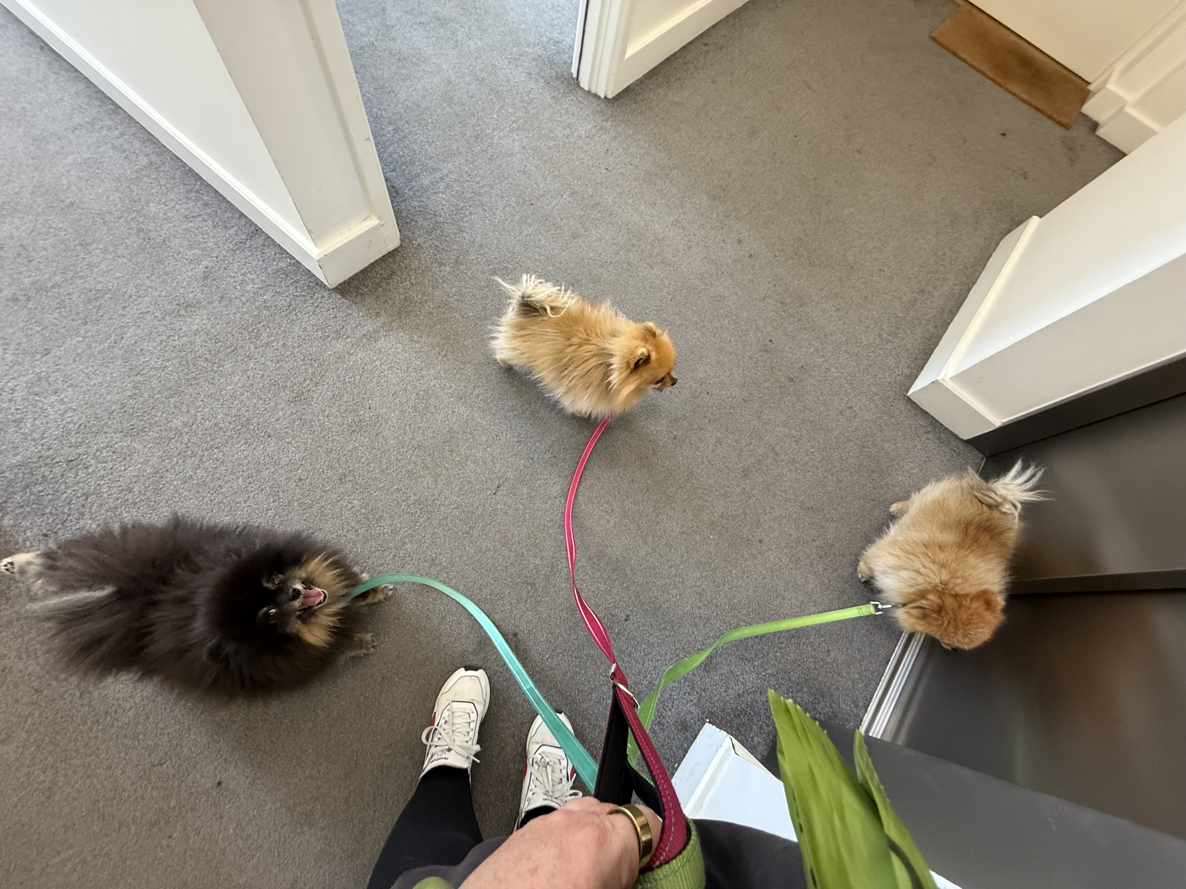 image-6