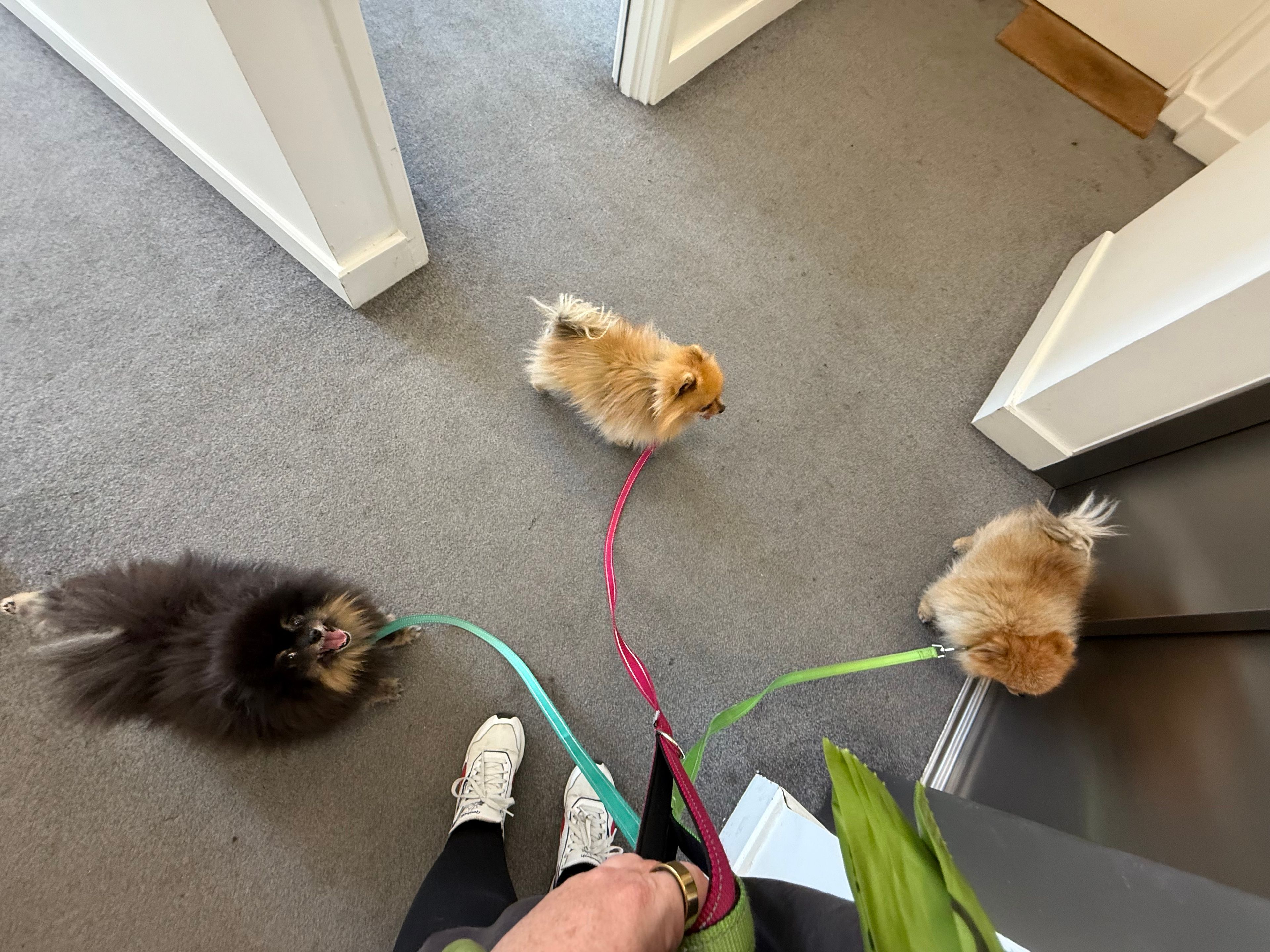 image-6