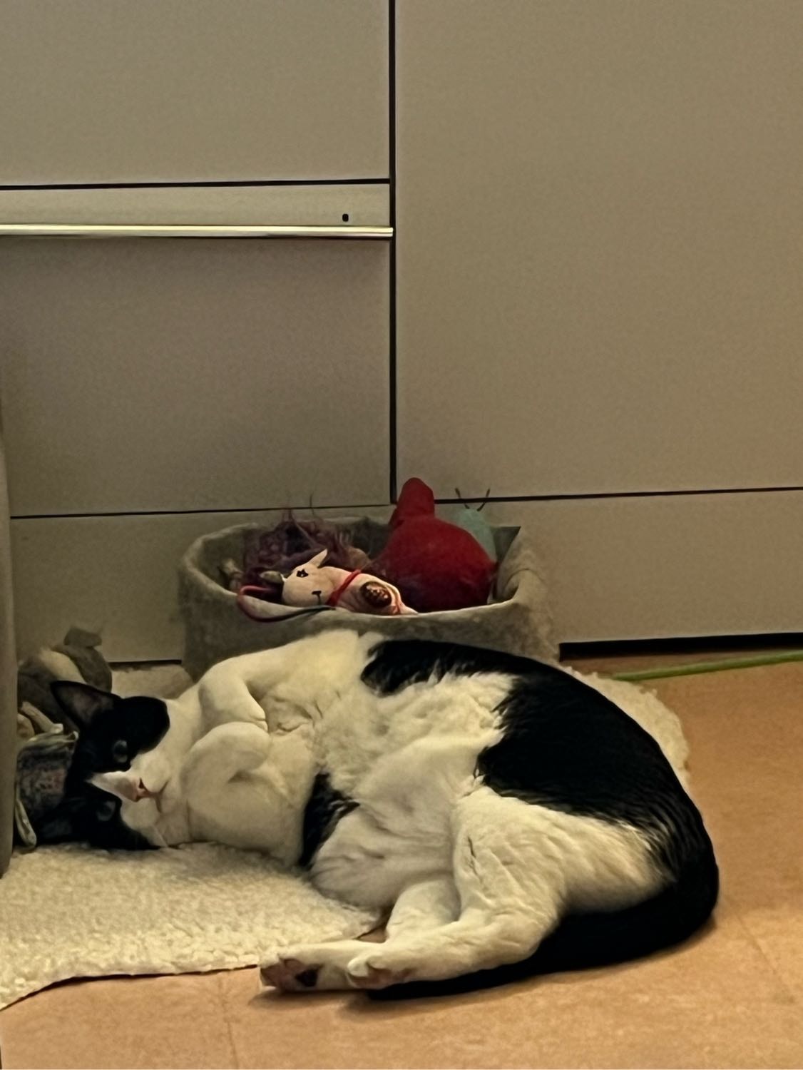 image-6