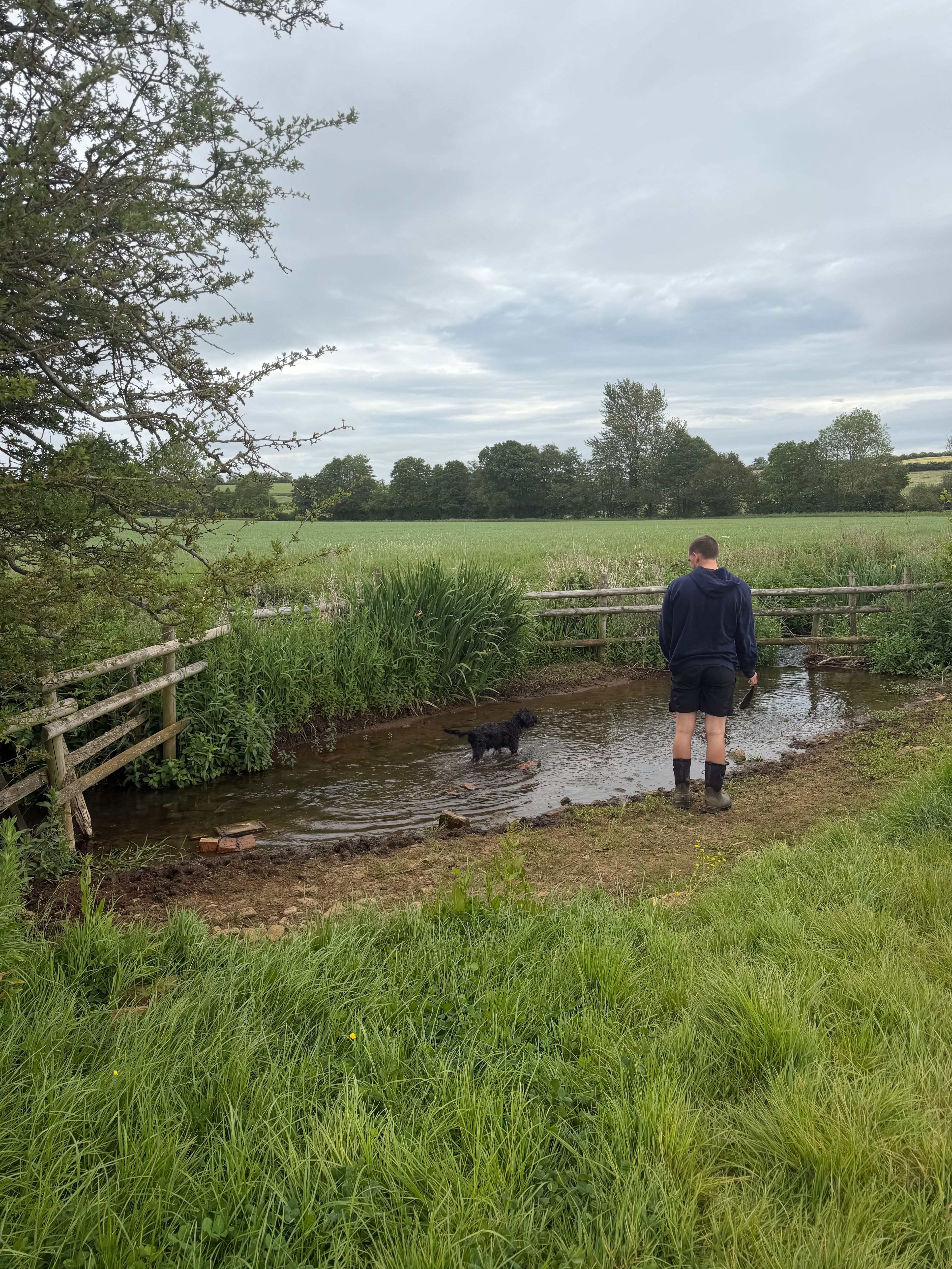 image-10