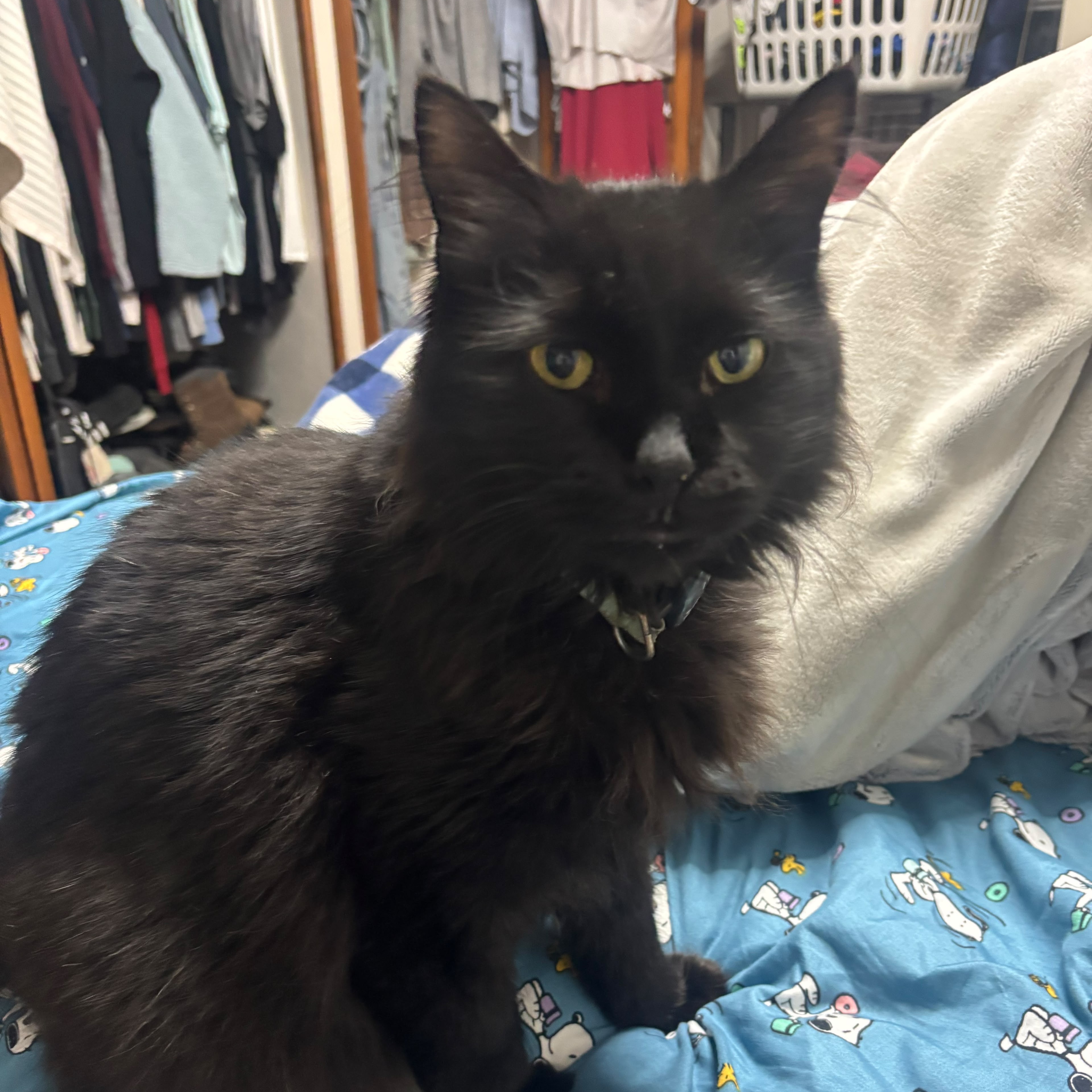 Salem